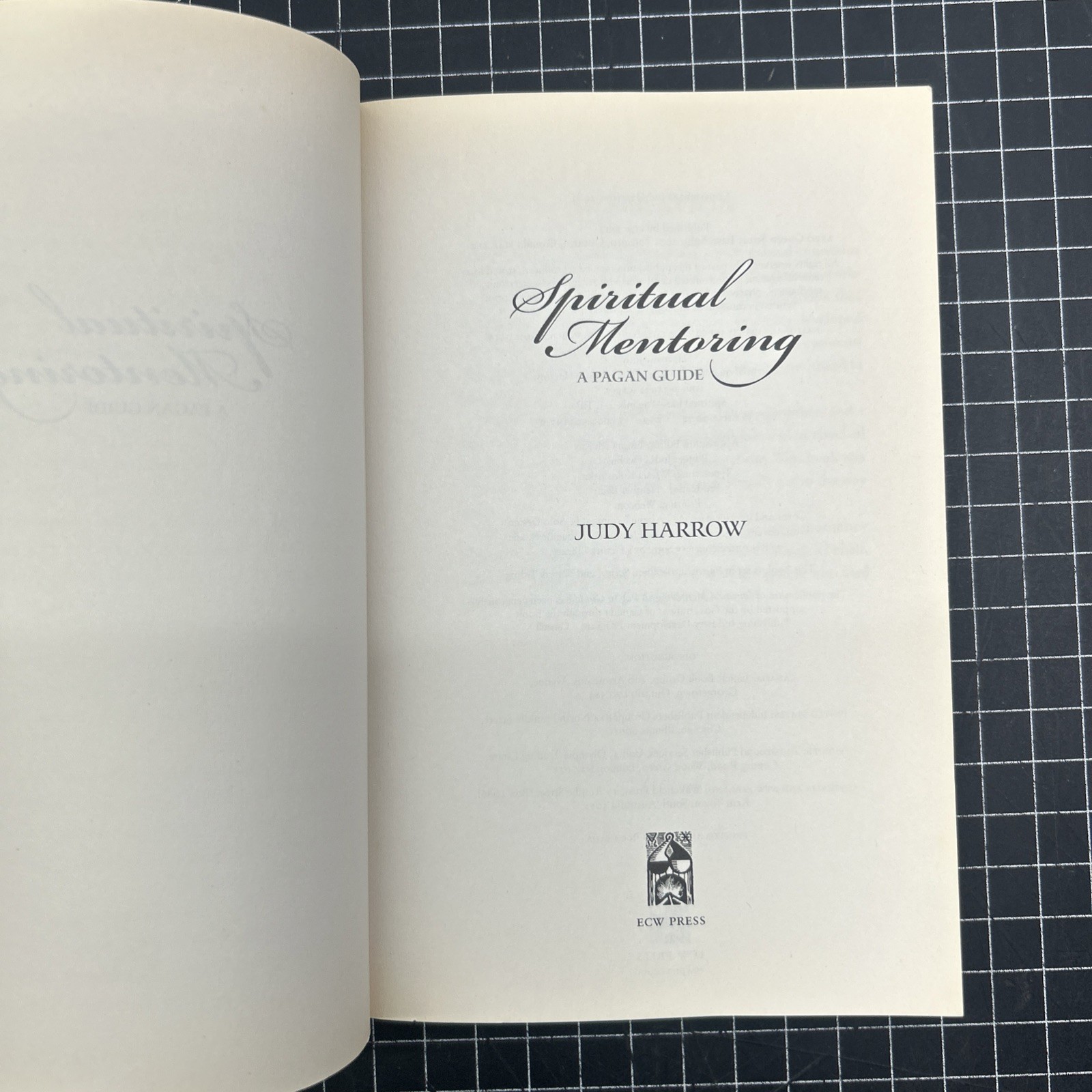 Spiritual Mentoring : A Pagan Guide by Judy Harrow (2002, Trade Paperback)