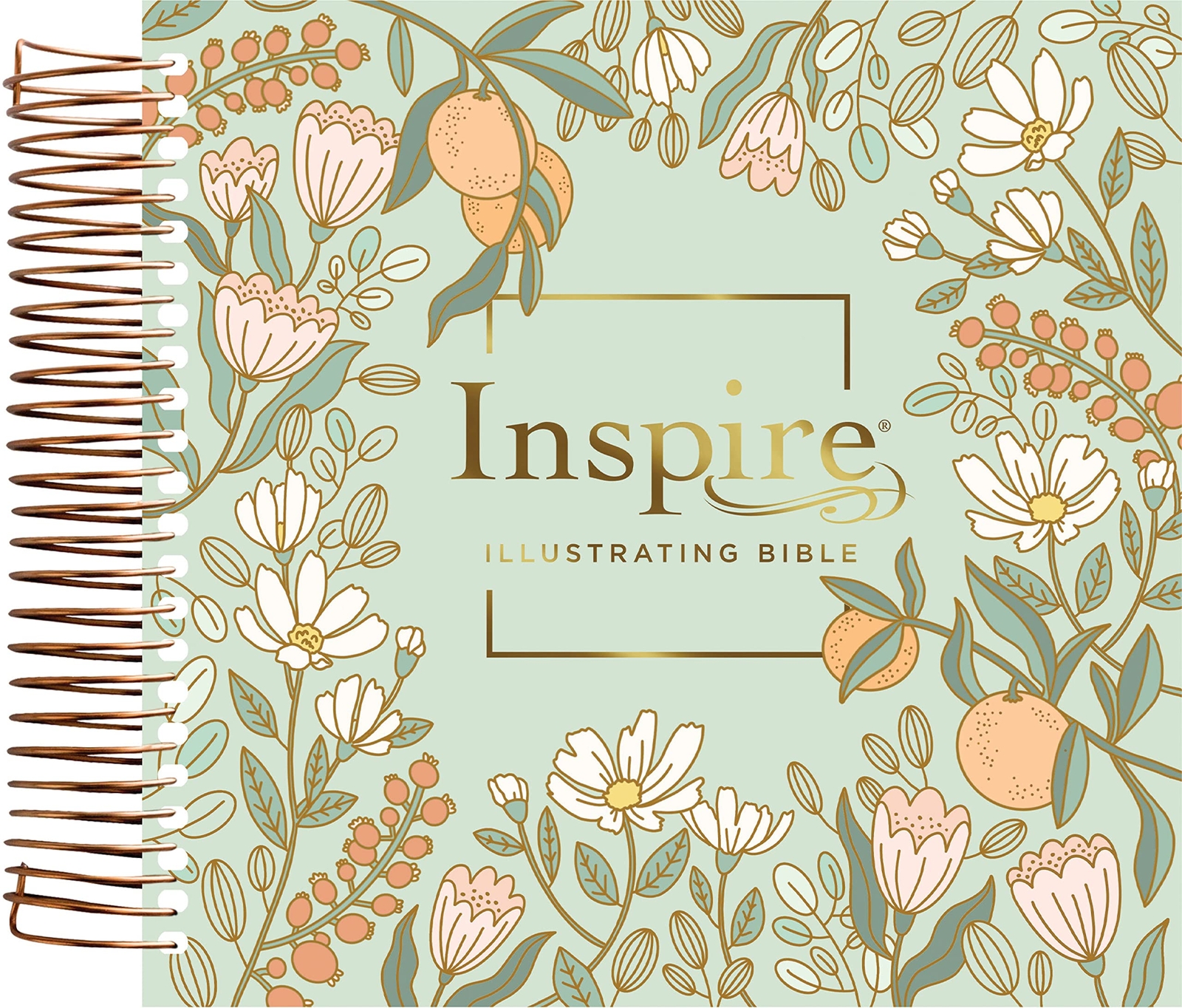 NLT DaySpring Inspire Illustrating Bible Filament Enabled