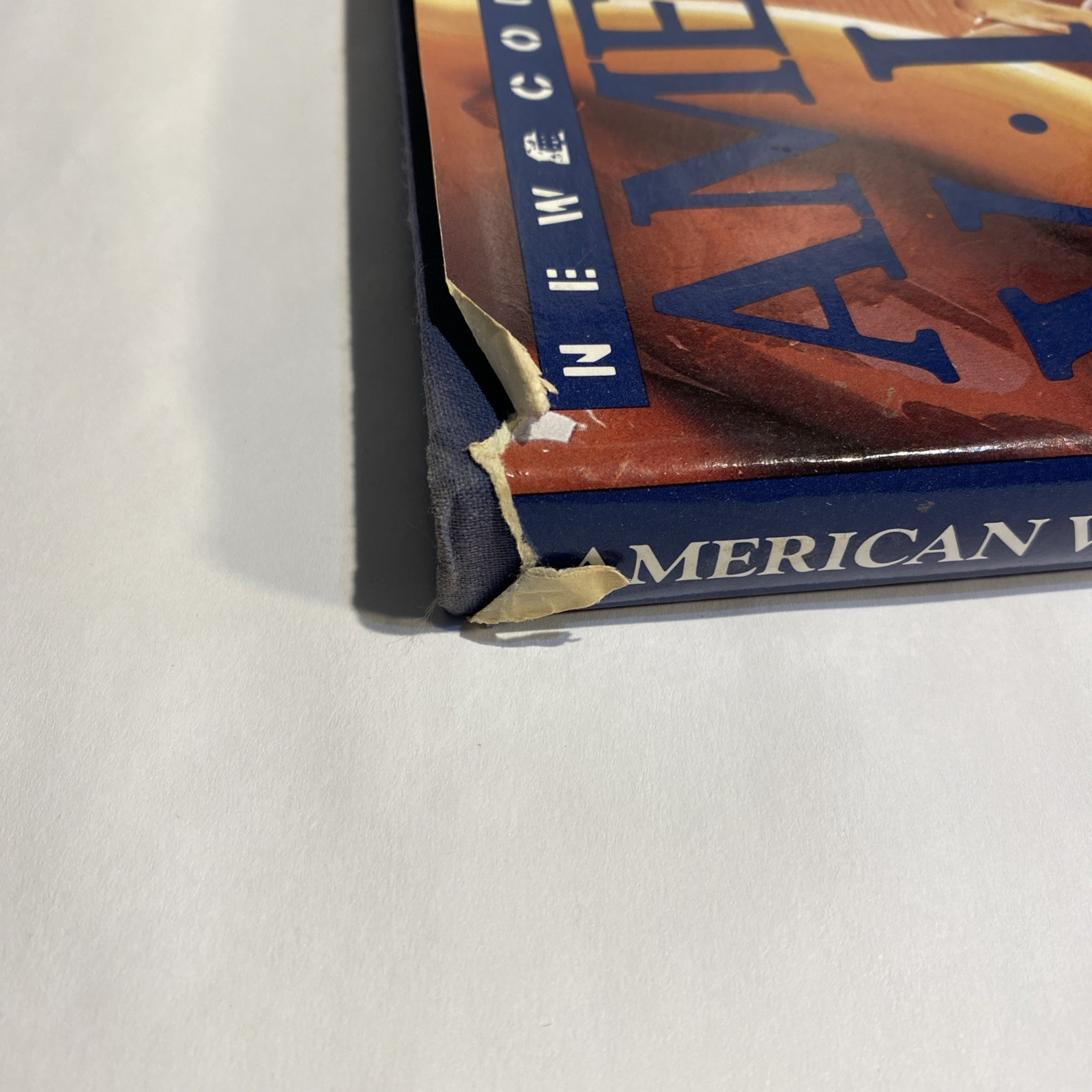AMERICAN VIEW By Raymond Waites & Bettye Martin – Hardcover Excellent Condition