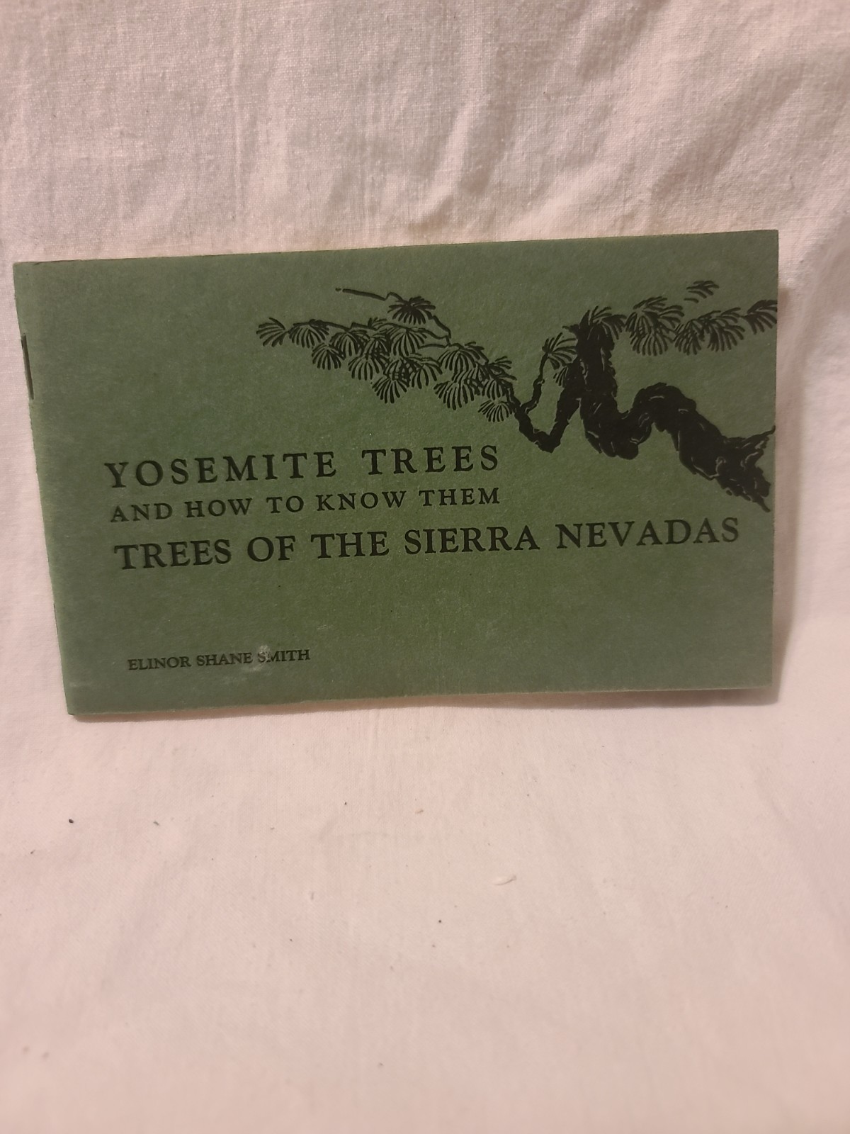 Yosemite Trees And How To Know Them By Elinor Shane Smith (PB 1929)