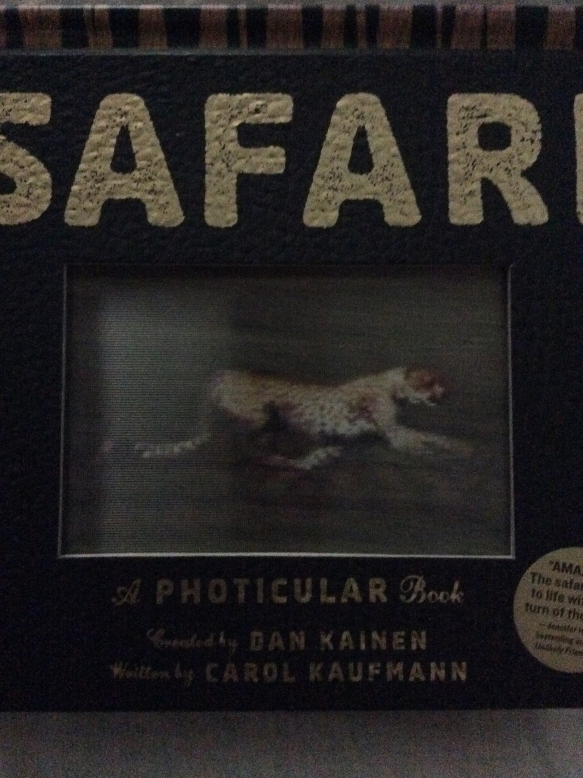Photicular Ser.: Safari : A Photicular Book by Carol Kaufmann and Dan Kainen…