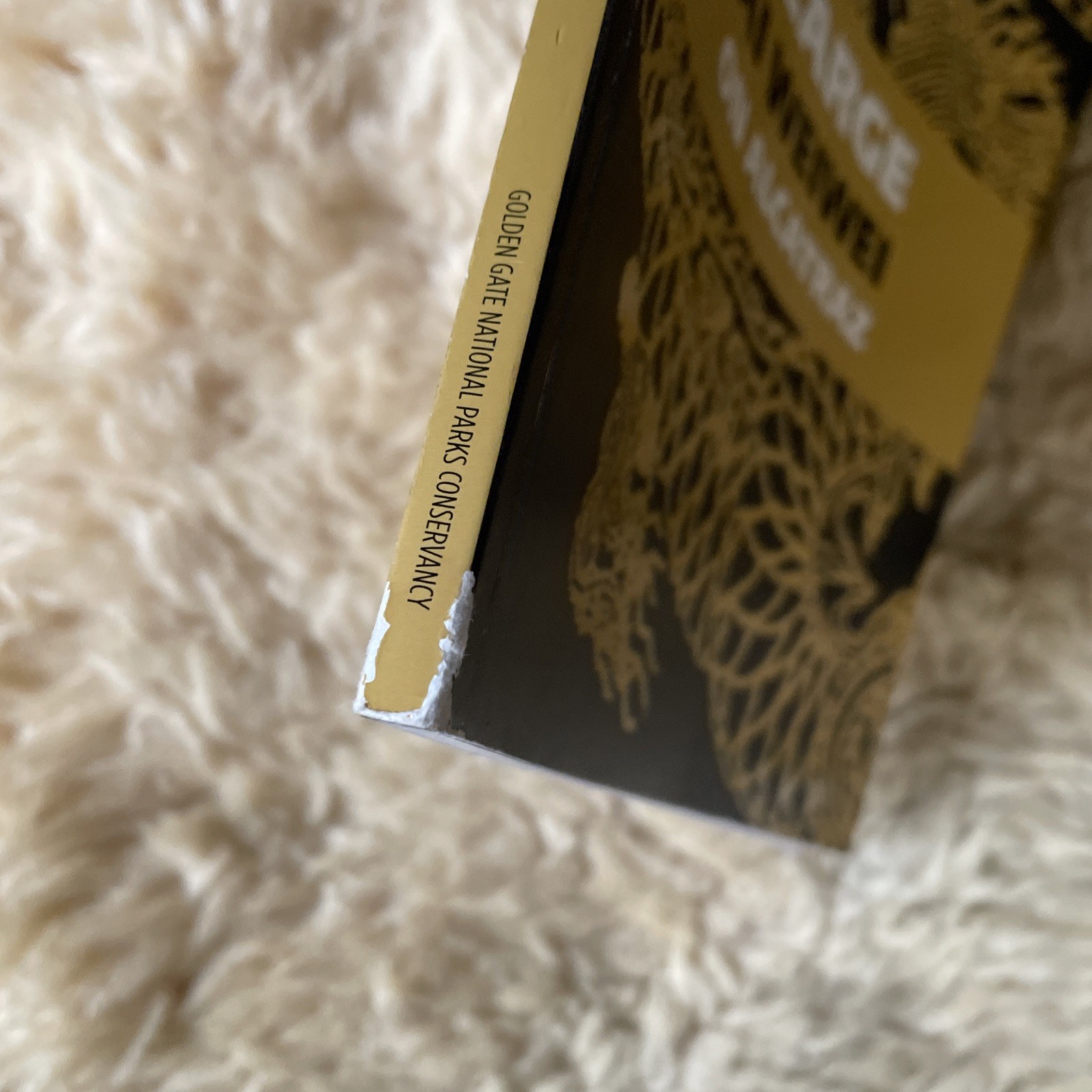 @Large Ai Weiwei on Alcatraz Softcover Art Exhibition Book Museum Catalog