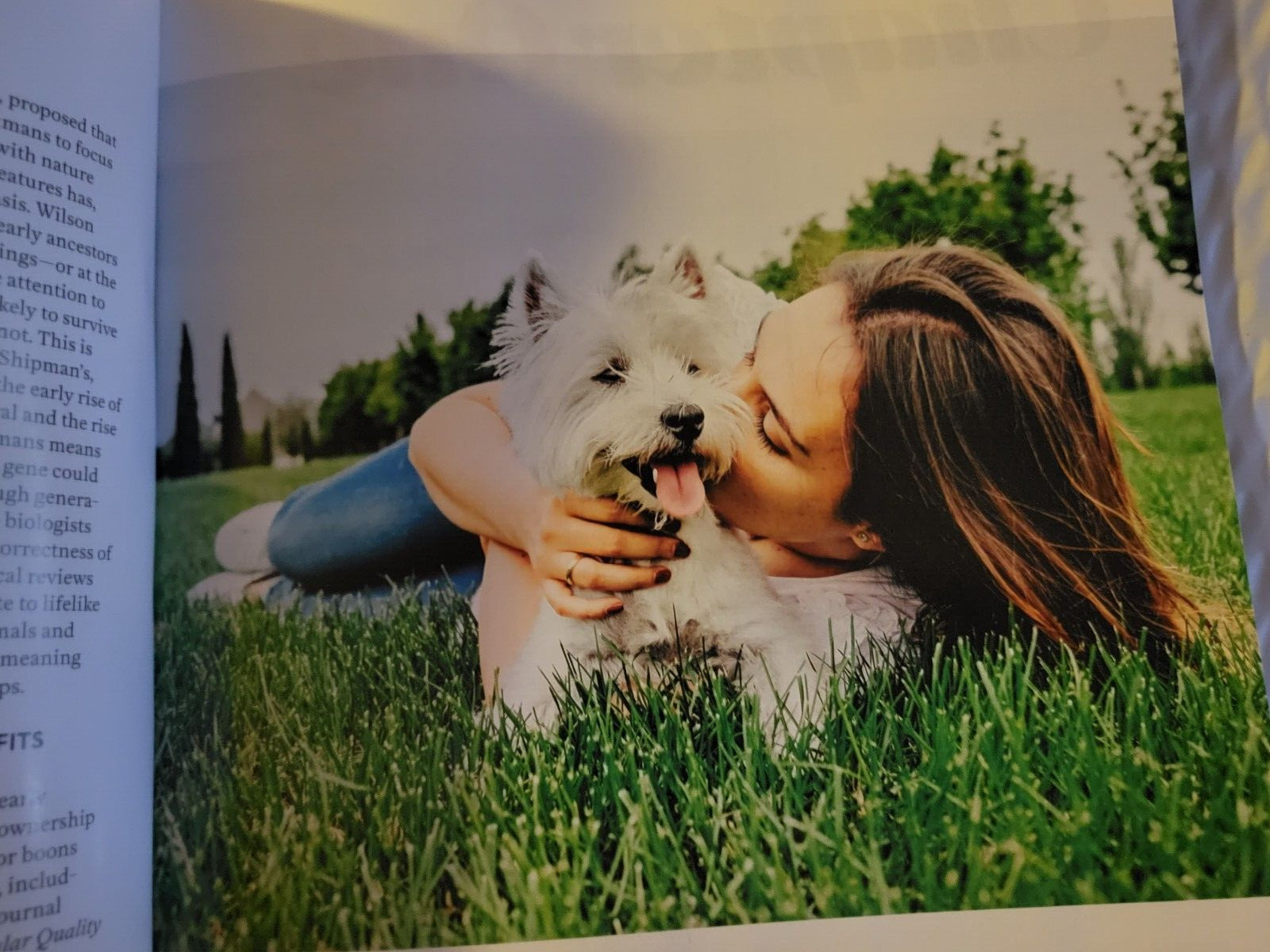 WHY WE LOVE DOGS – Paw Print Special Edition – Help Us Heal – Pet Like a Pro