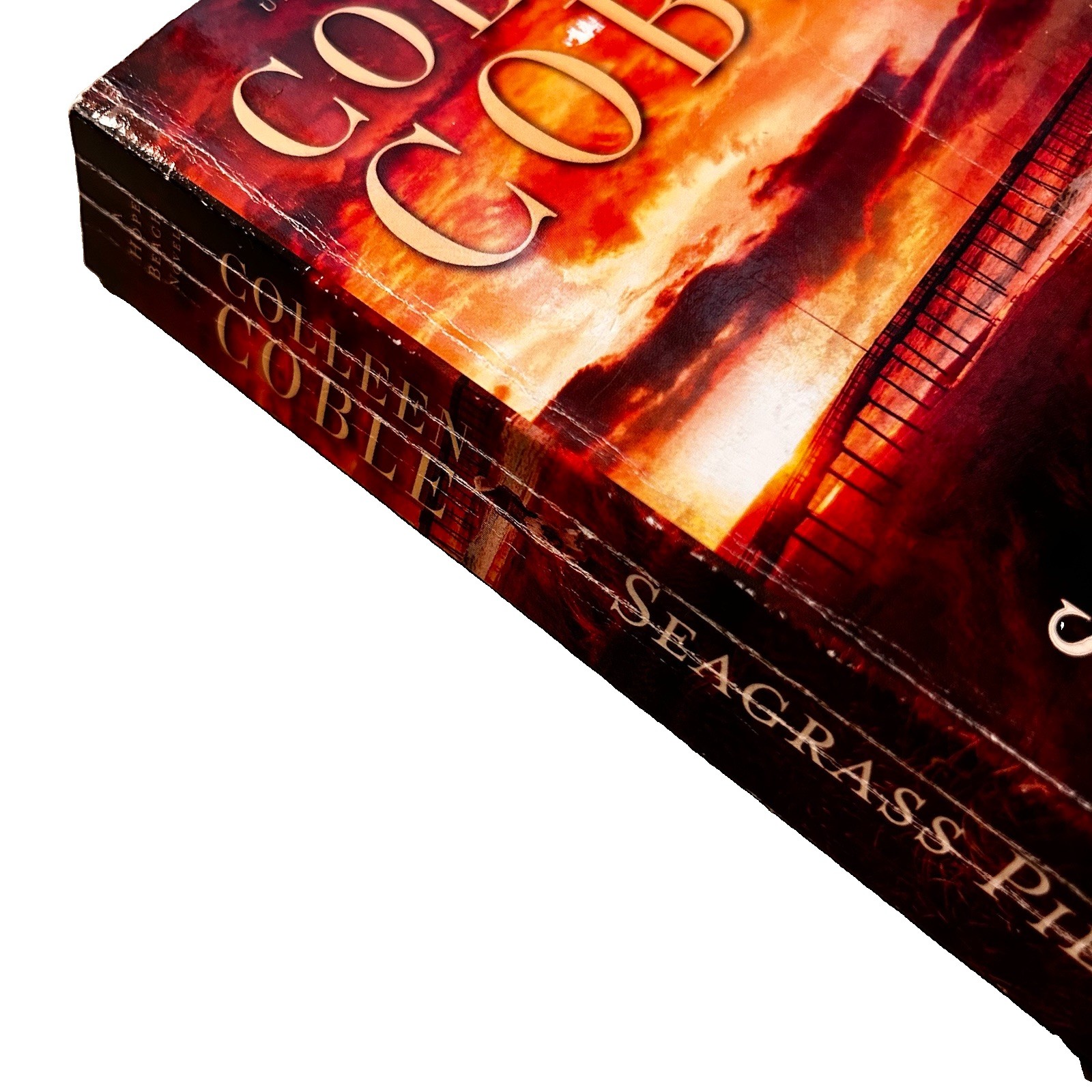 2 Colleen Coble Books Paperback Fiction Mystery Romance Christian Book