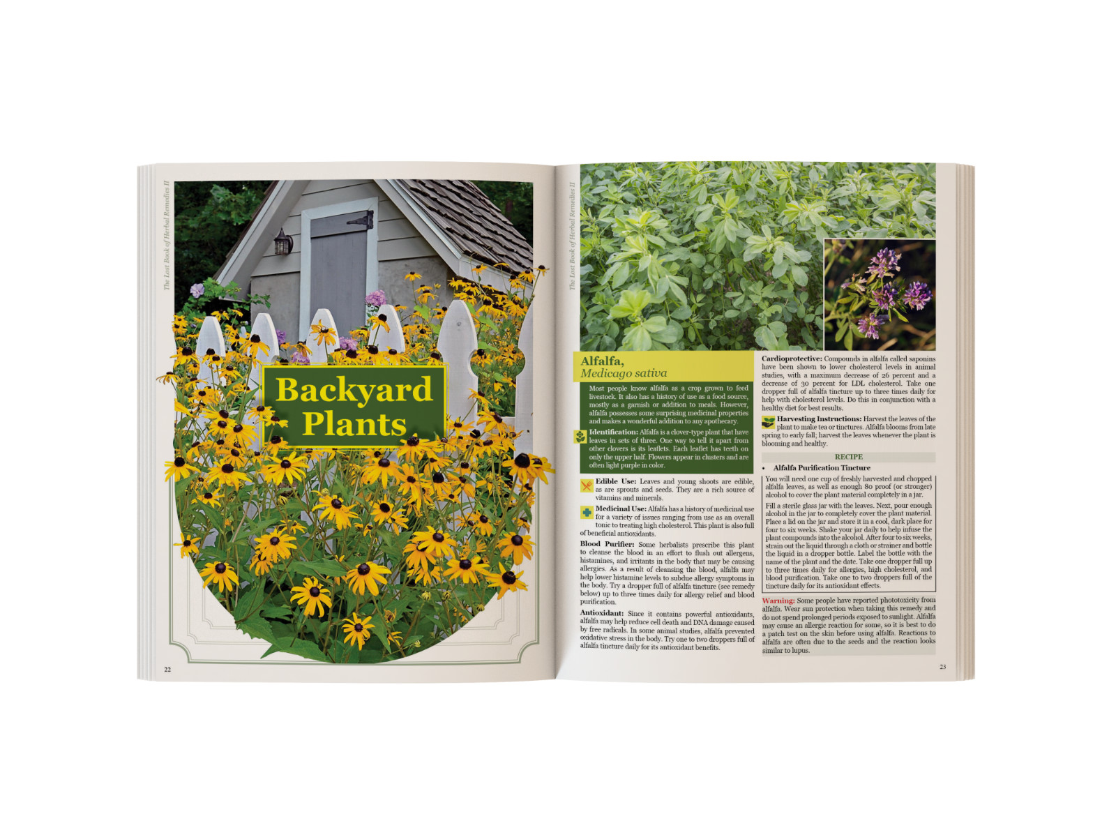 The Lost Book of Herbal Remedies II (paperback with color pictures)