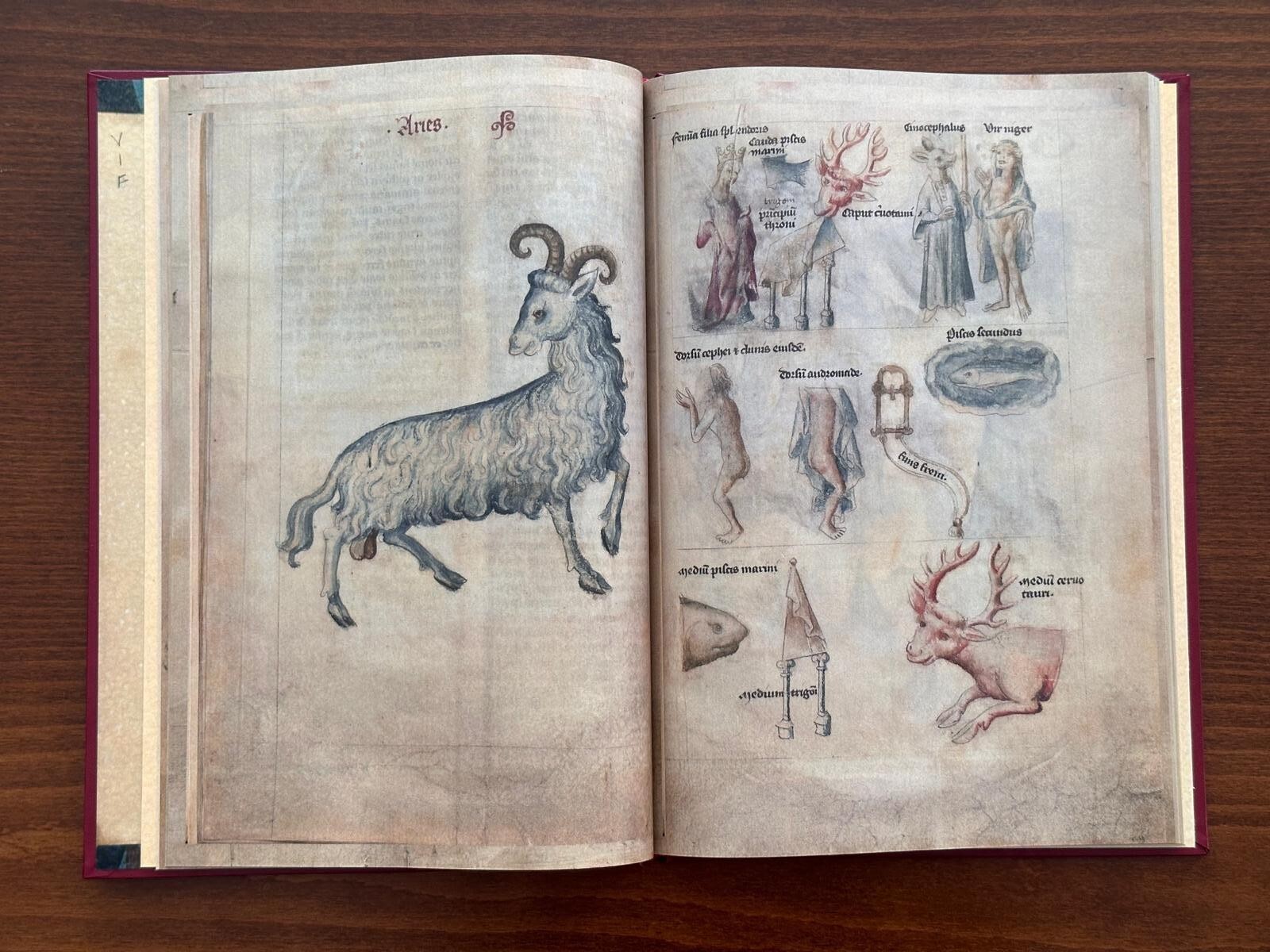Treatise on Astrology by Albumazar – Liber Astrologiae Leatherbound Facsimile