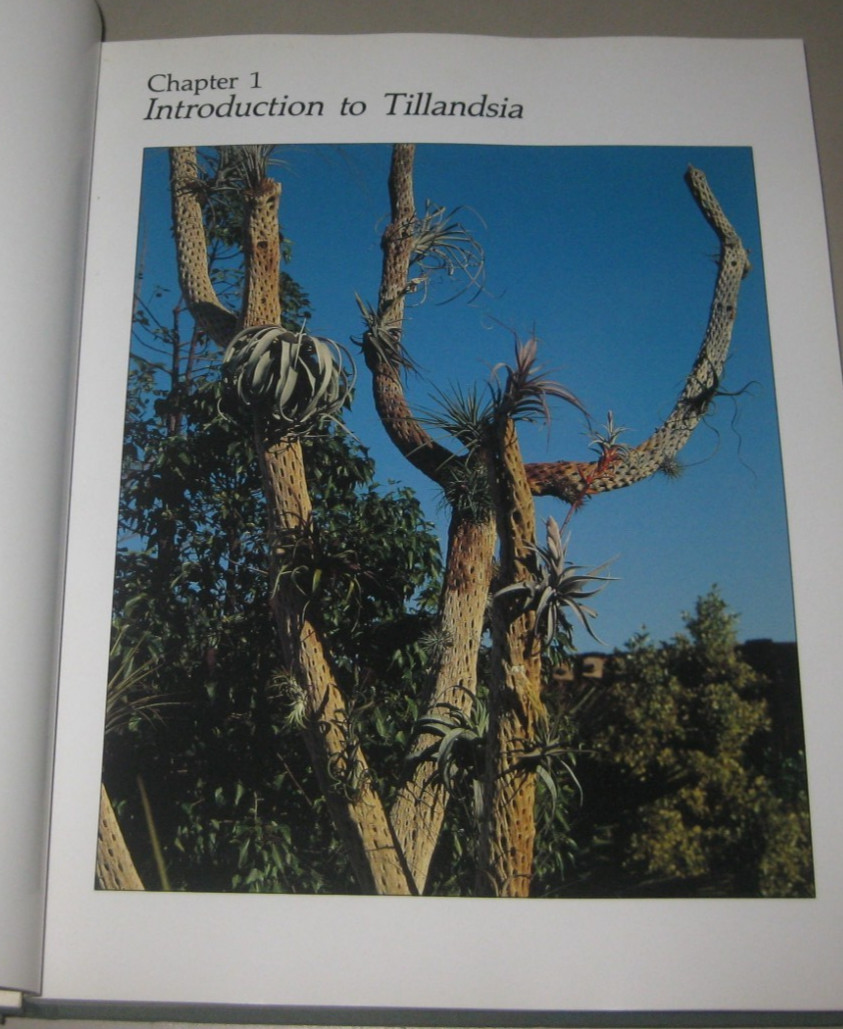 1987 First Ed Tillandsia: The World’s Most Unusual Air Plants by Paul T. Isley