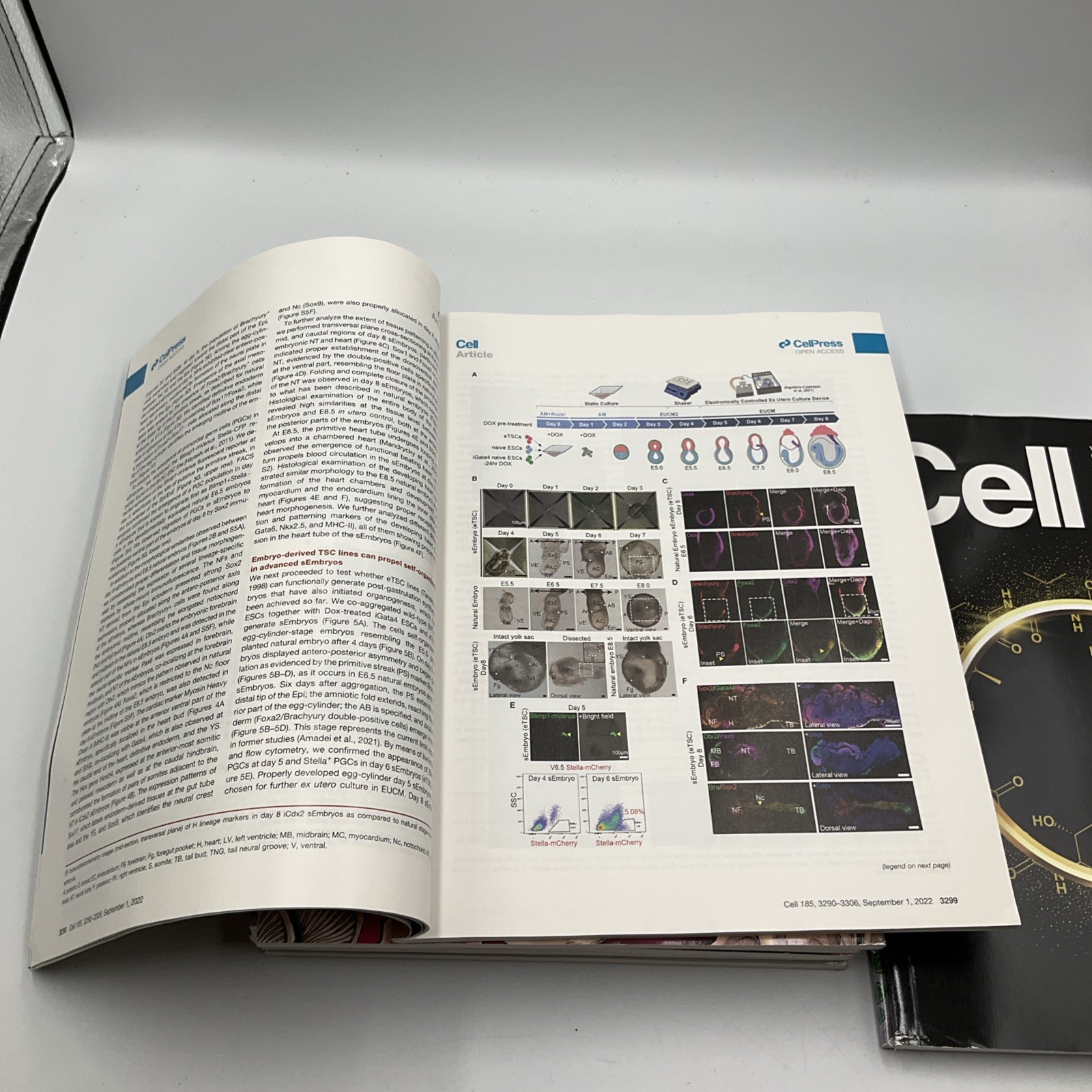 Cell Magazine Medical Journal Lot Of 9 Vol 185 #12, 13,17, 18, 19, 20,21,22-2022