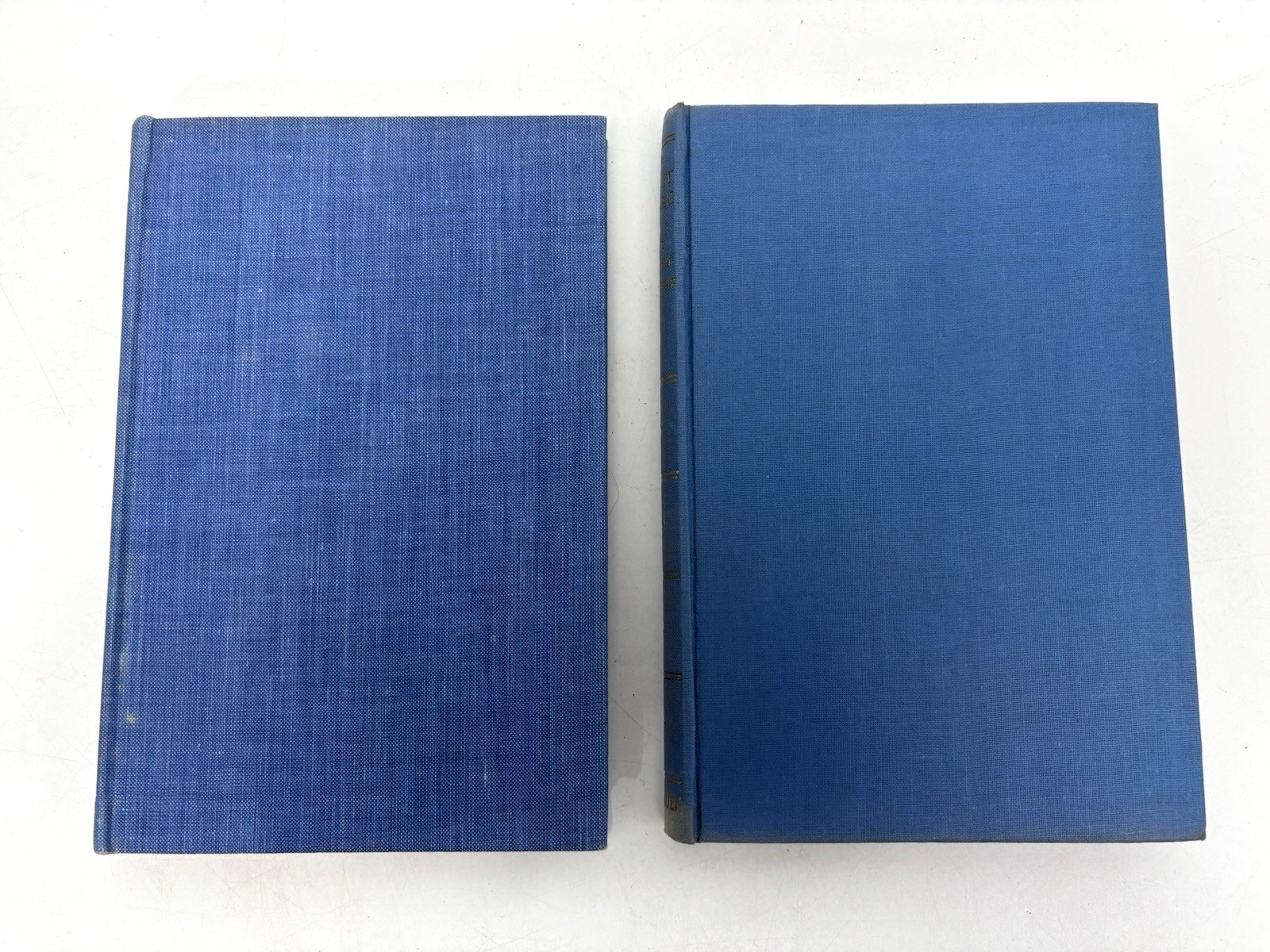 Collection of Vintage Blue Books for Decoration. 14cm shelf space.