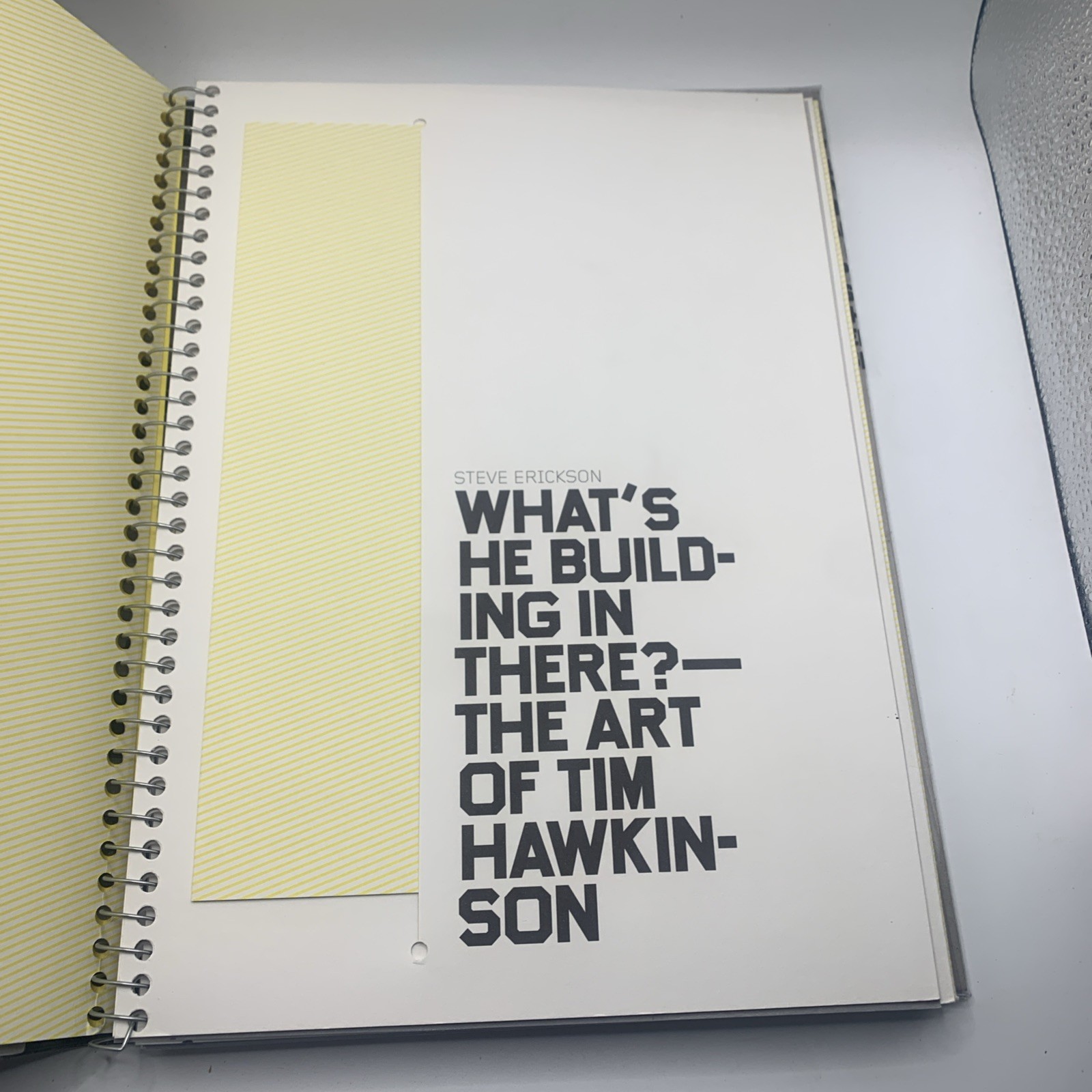 Tim Hawkinson-Nyehaus art book Foundation ltd ed 522/2000