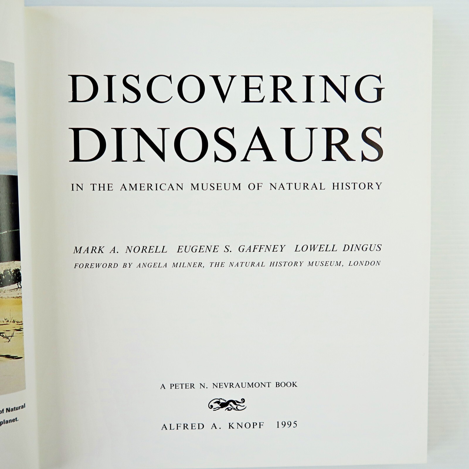 Discovering Dinosaurs: In the American Museum… (Books)
