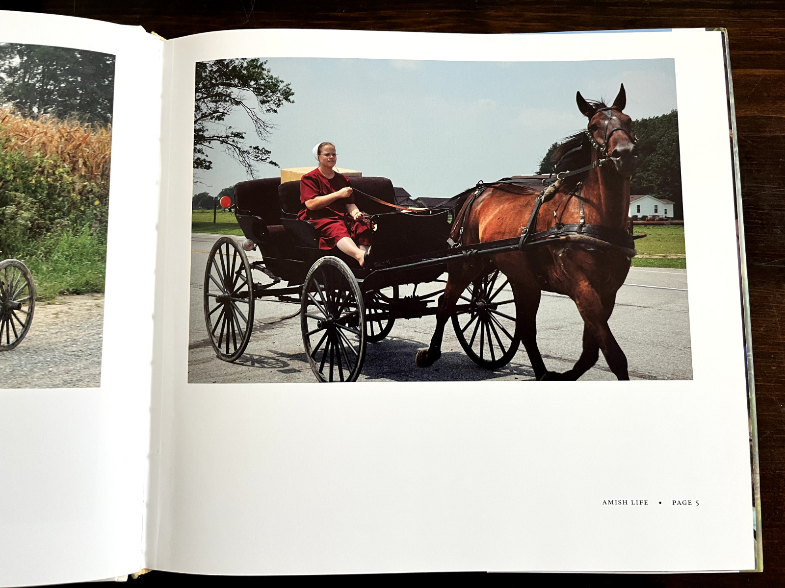 Amish Life : Living Plainly and Serving God Hardcover — Darryl D. Jones