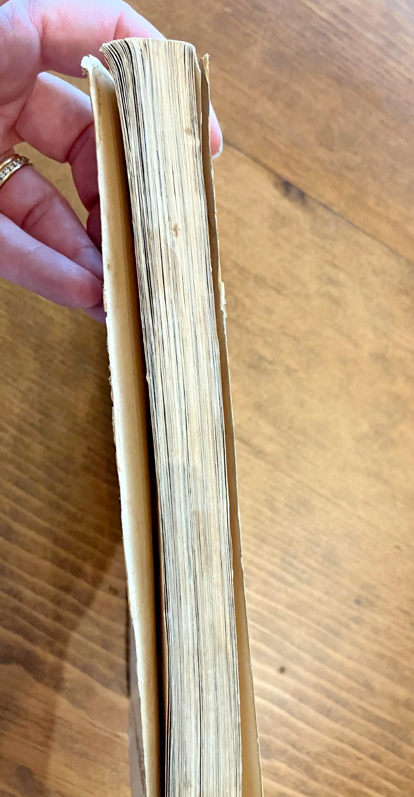 Mmmmm: A Feastiary by Ruth Reichl 1st edition 1972 Softcover RARE Cookbook