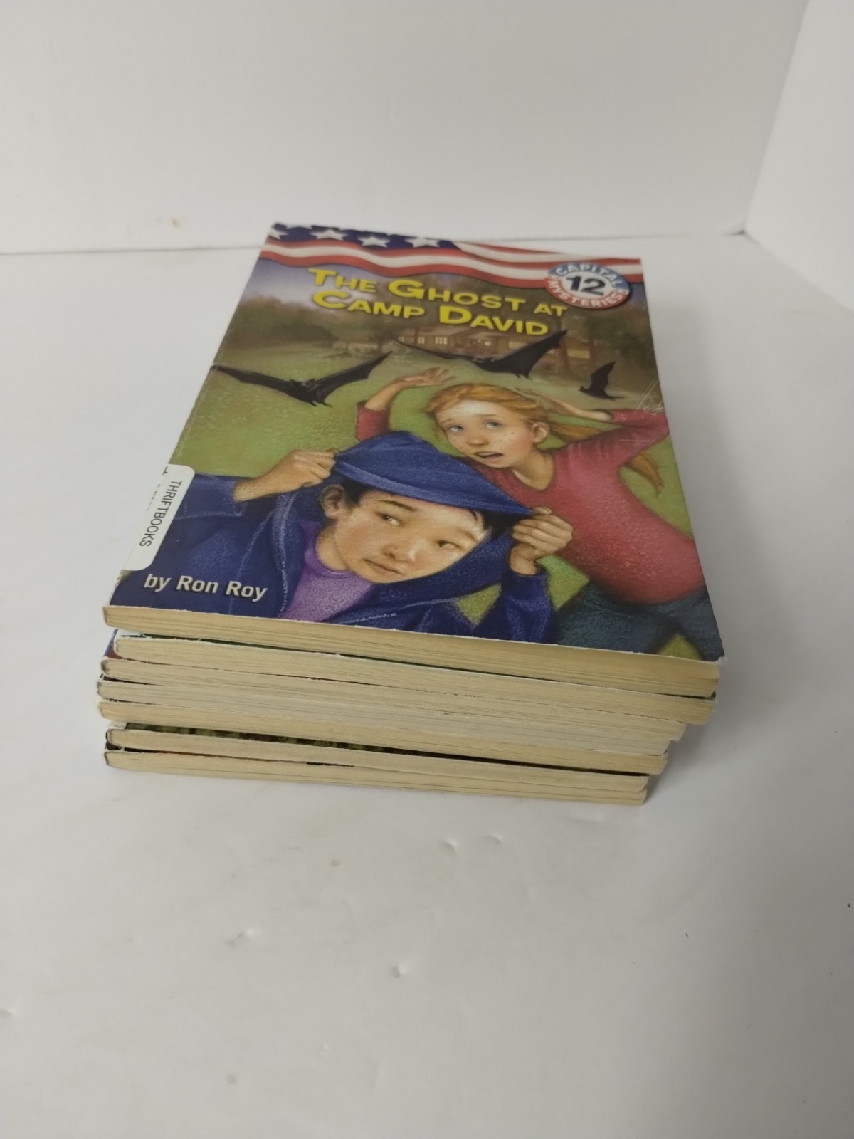 CAPITAL MYSTERIES by Ron Roy Chapter Books Series Lot 6-12 Bundle Kids Chapter