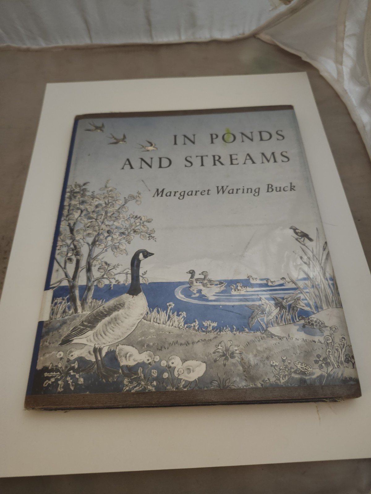 IN PONDS AND STREAMS By Margaret Waring Buck – HCDJ 1955 Ex Library