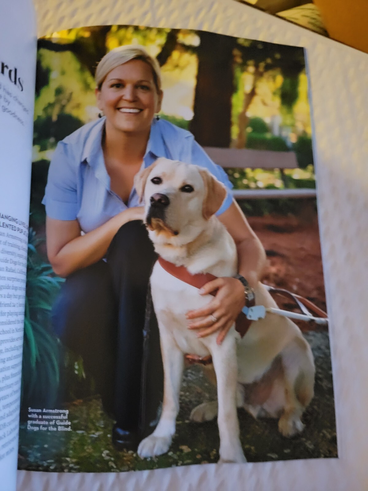 WHY WE LOVE DOGS – Paw Print Special Edition – Help Us Heal – Pet Like a Pro