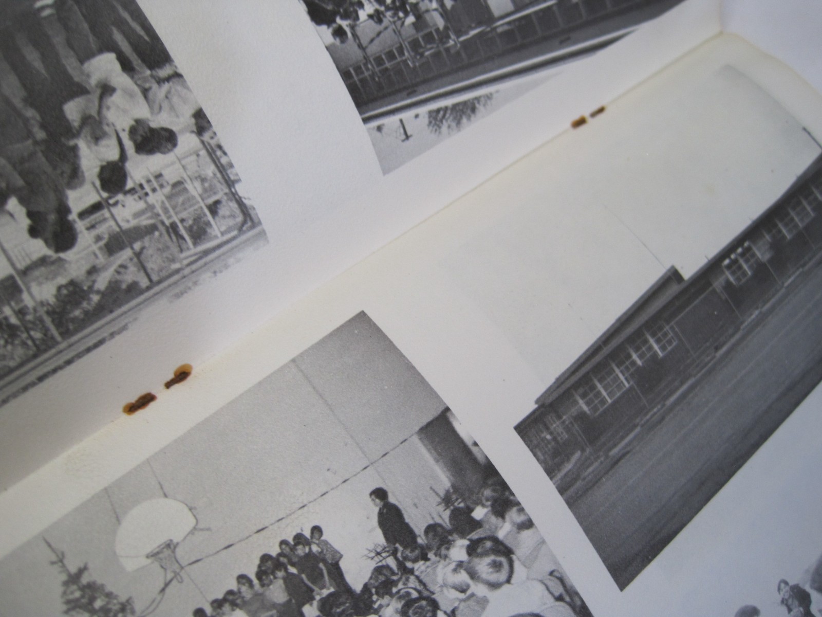 Salida School Yearbook 1972-73 Volume 1 – Staple Bound Paperback – California