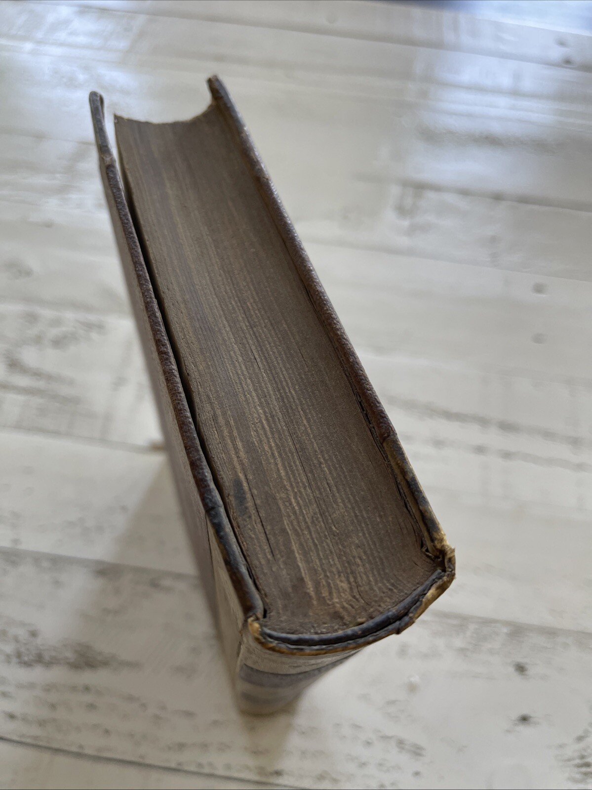 Quaestiones Philosophicae Vol. 1 by Sylvestro Mauro, 1875 Catholic Work