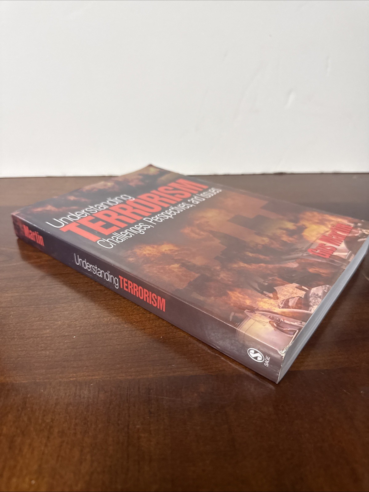Understanding Terrorism: Challenges, Perspectives, and Issues