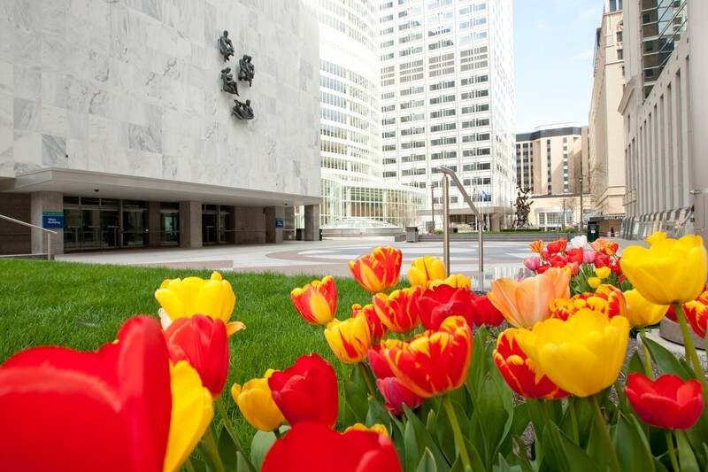 Mayo Clinic 34th Annual Internal Medicine Board Review 2025
