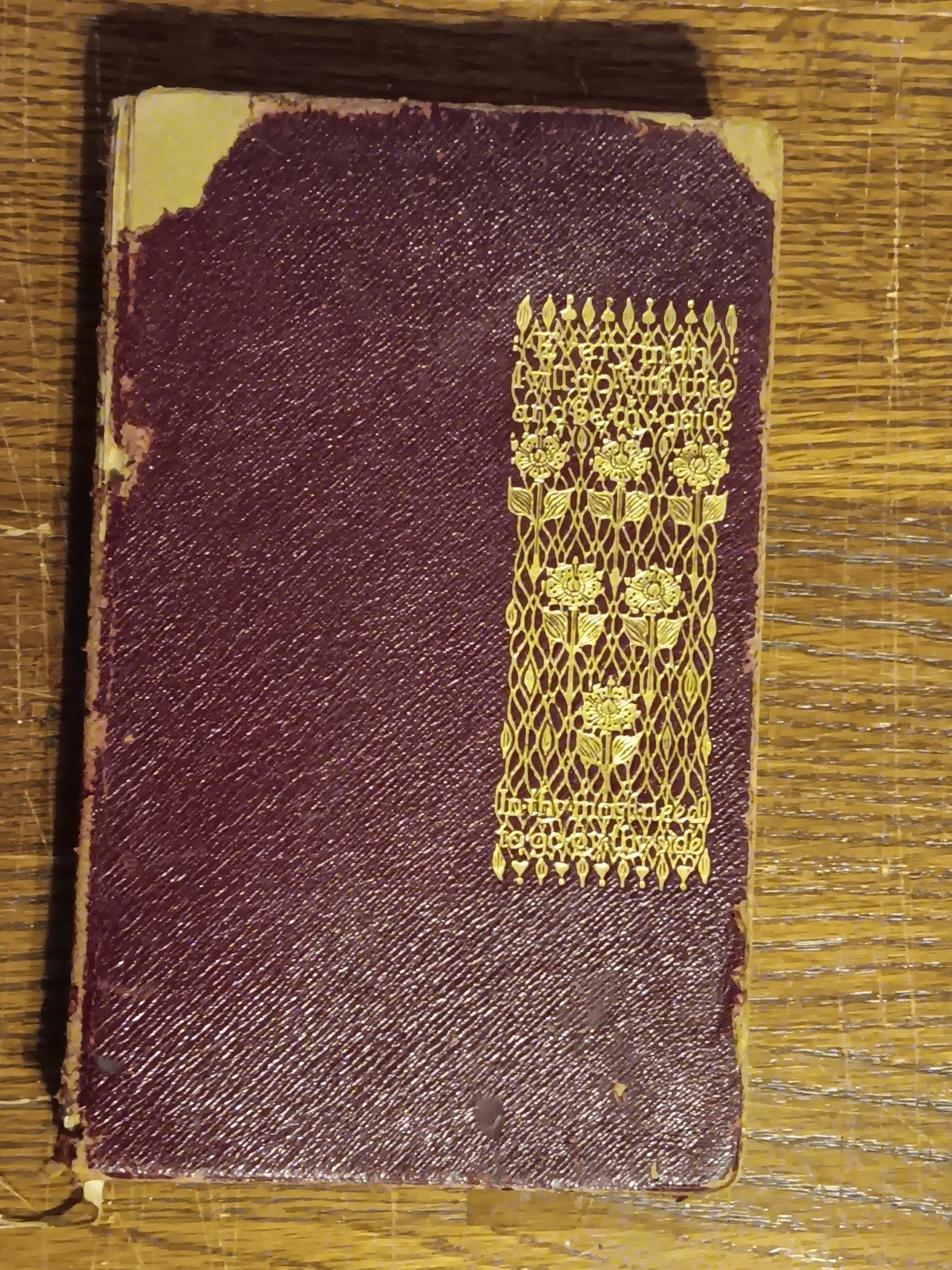 Vintage 1916? THE LIFE OF THE DUKE OF NEW CASTLE-Margaret 299 pages see pics