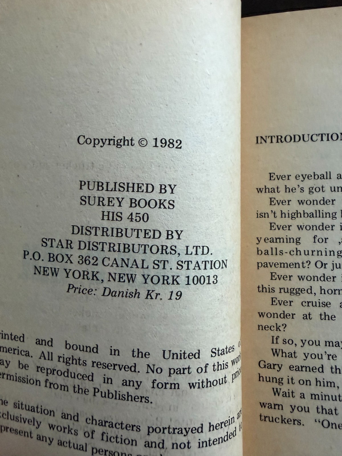 TRUCKER’S TAIL by Clay Caldwell HIS69450 Gay Pulp Paperback 1982 VG see pics