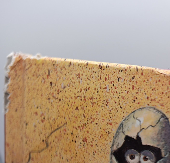 Ten Little Dinosaurs (Eyeball Animation): Board Book Edition – Board book – GOOD