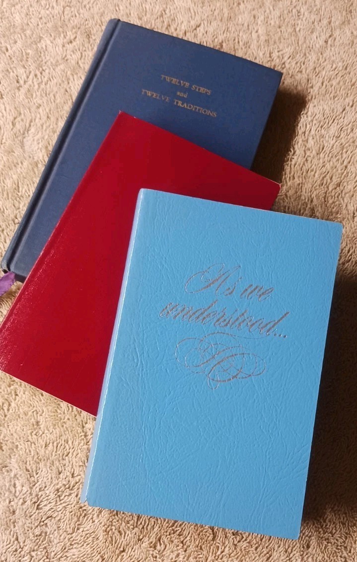 Rare 2nd Edition 12×12 AA, AL-ANON, Lot of 3 Pocket Books