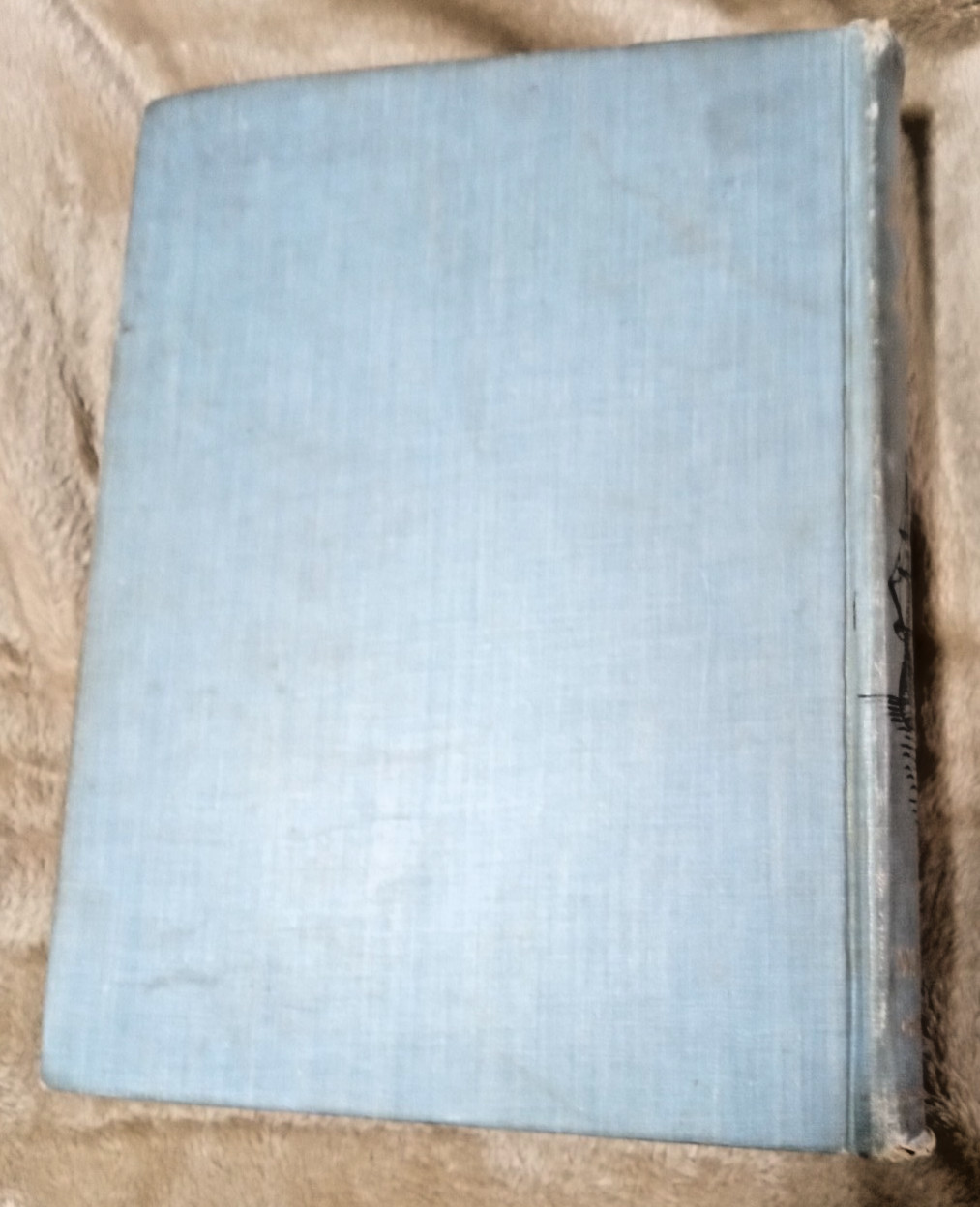 LIFE AND STRANGE ADVENTURES OF ROBINSON CRUSOE: Daniel Defoe HC 117 ILLS W.