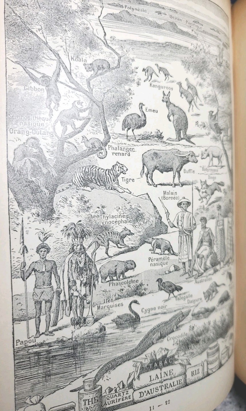 Antique 1920s Petit Larousse Illustrated Dictionary Paris HC French 1664 Pages