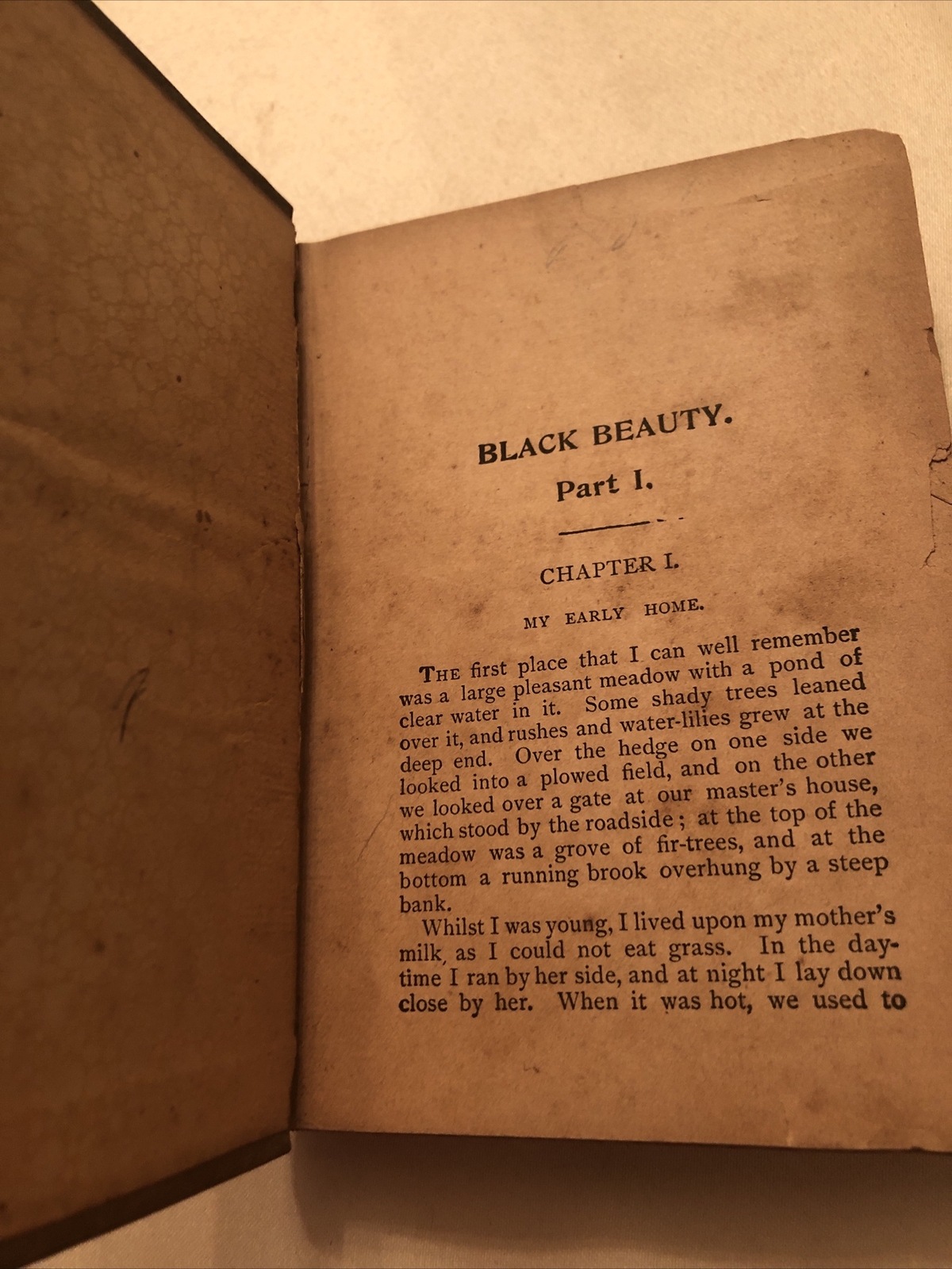 Black Beauty 254 pages 6″ x 4 1/4″ Book Sewell