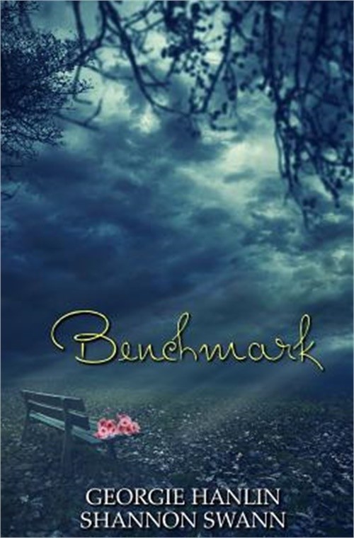 Benchmark (Paperback or Softback)