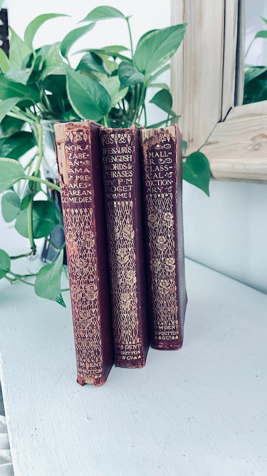 Decorative Red Leather Covered Antique Book Gilded Cover 1910 Set of 3