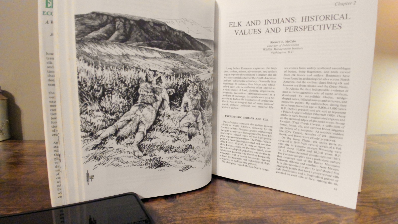 Elk of North America : Ecology and Management by Wildlife Management 1982, HC/DJ