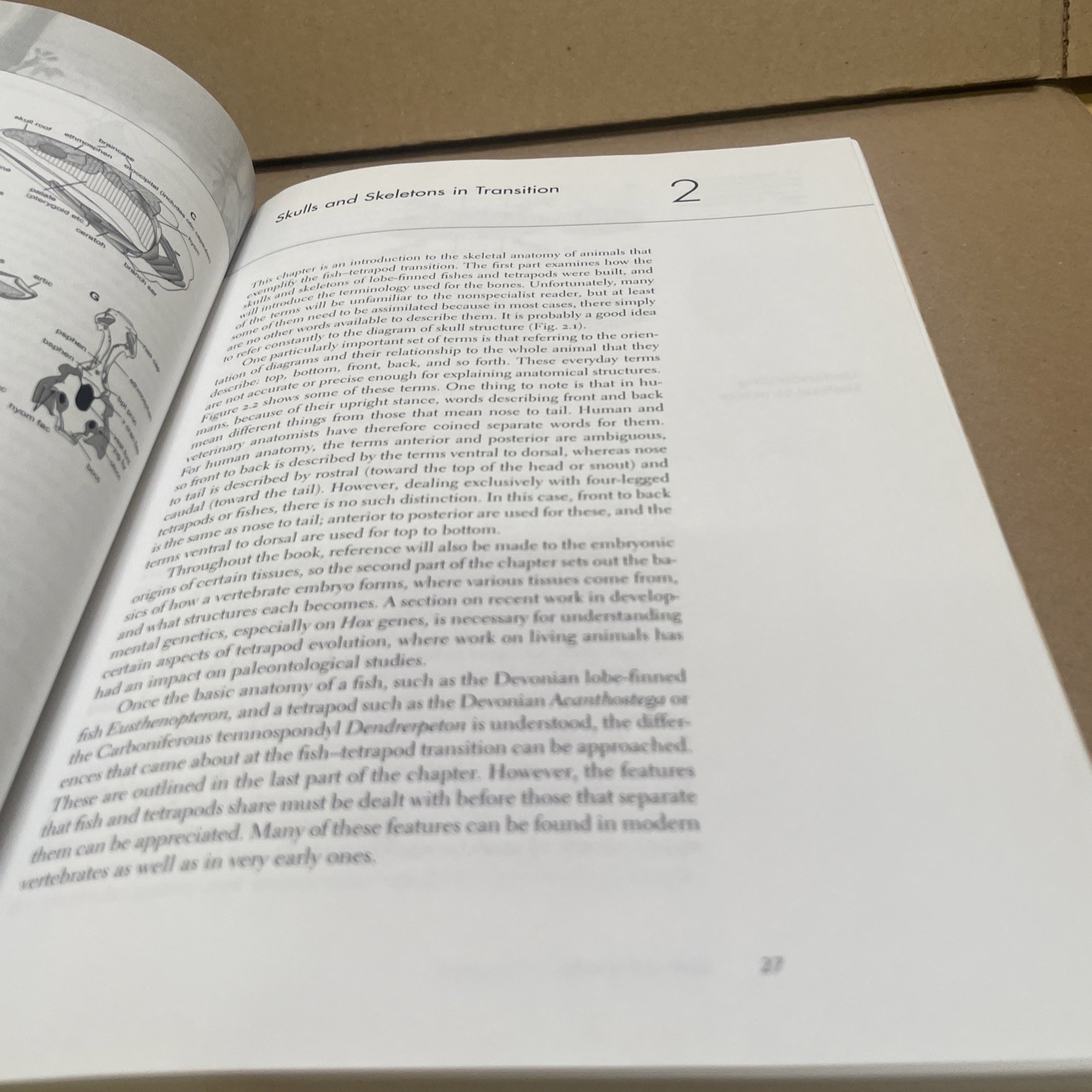 Gaining Ground: The Origin and Evolution of Tetrapods by Clack