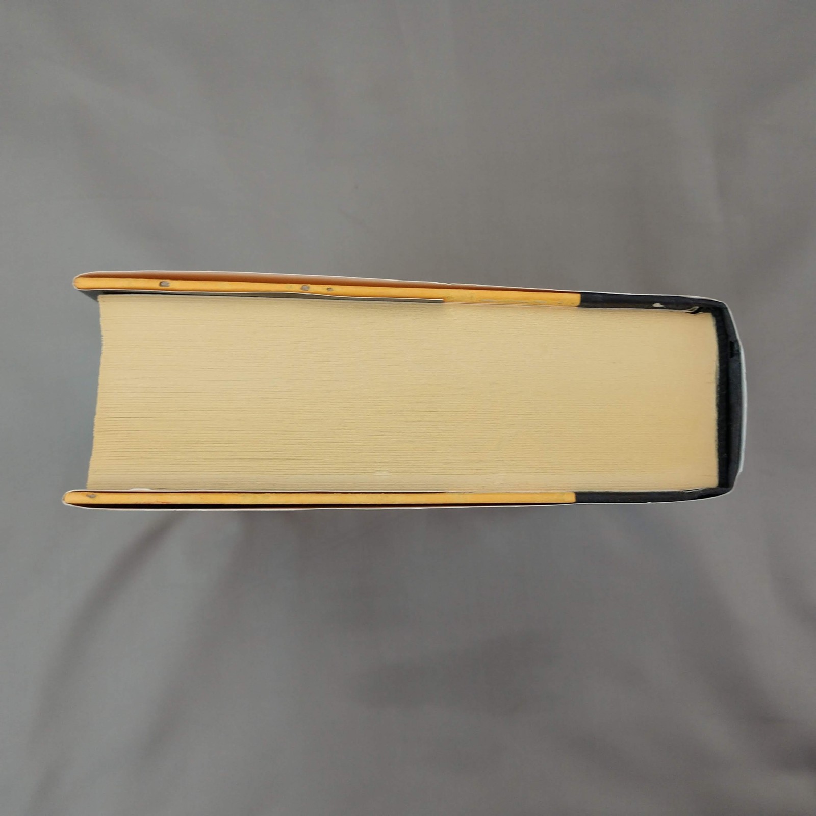 The Host Stephenie Meyer Little Brown Black HC Sci-Fi Fantasy Novel Adult