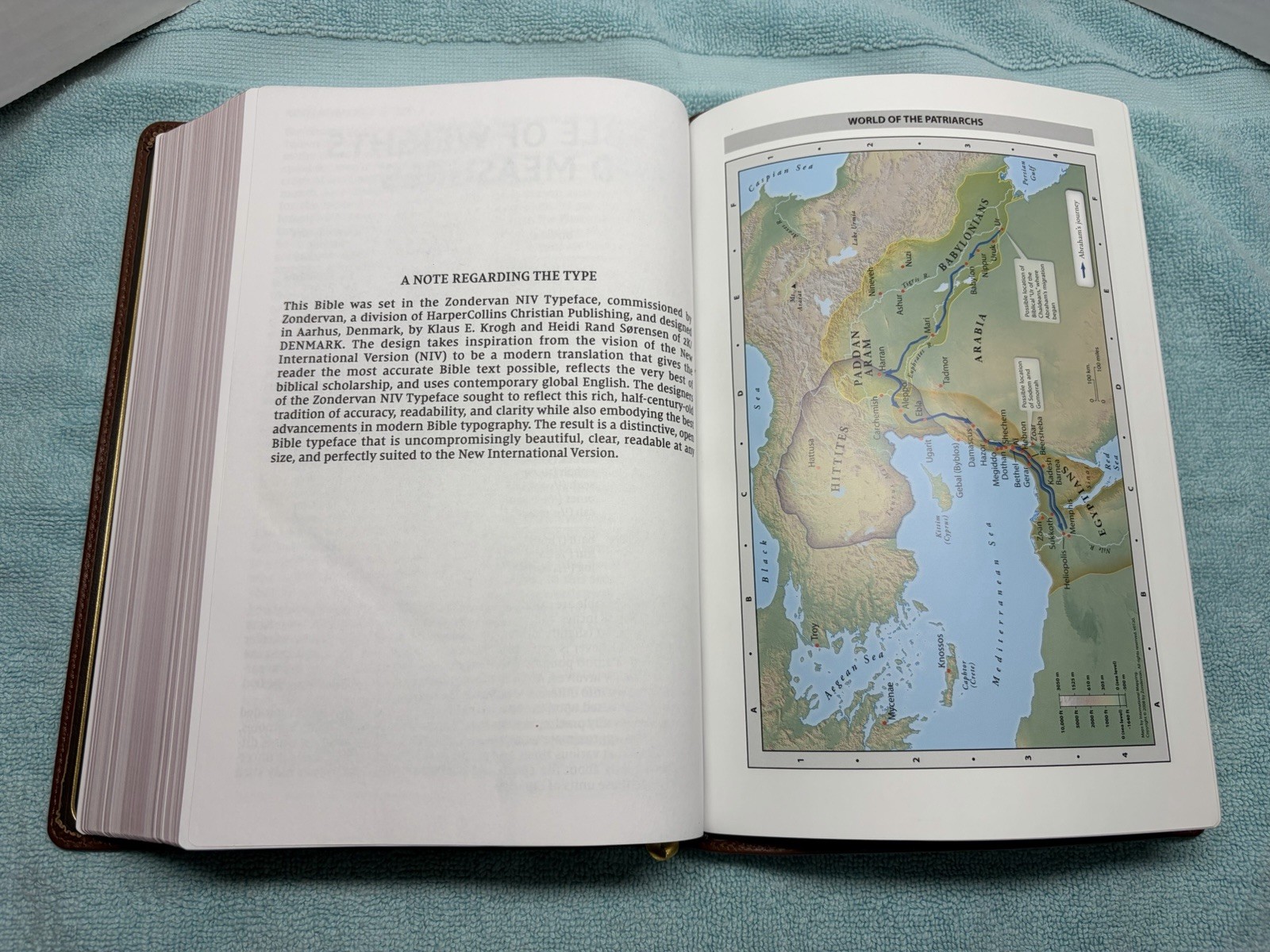 NIV Thinline Bible, Giant Print, Genuine Leather, Buffalo, Red Letter Edition