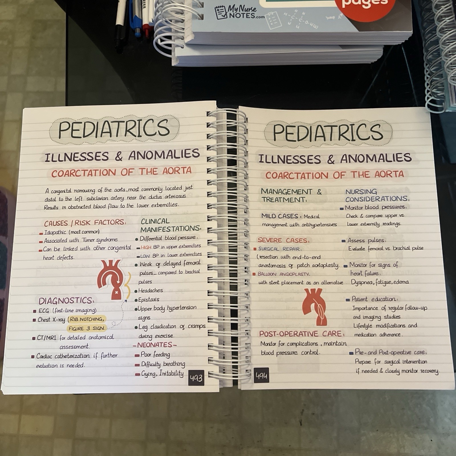🔥New Nursing Success Bundle 400+ Page Handwritten Notes Designed to Ace Nursing
