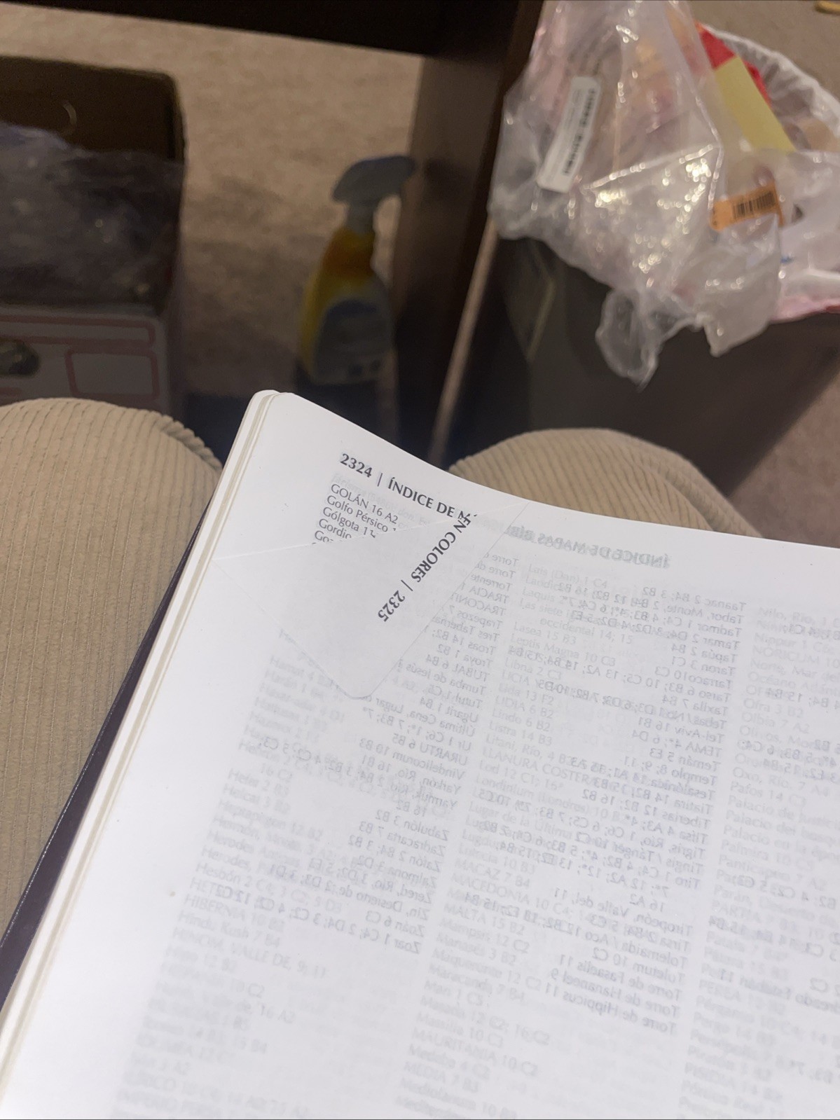 2023 Vida Plena Bibla De Estudio NTV Leather Life Publishers