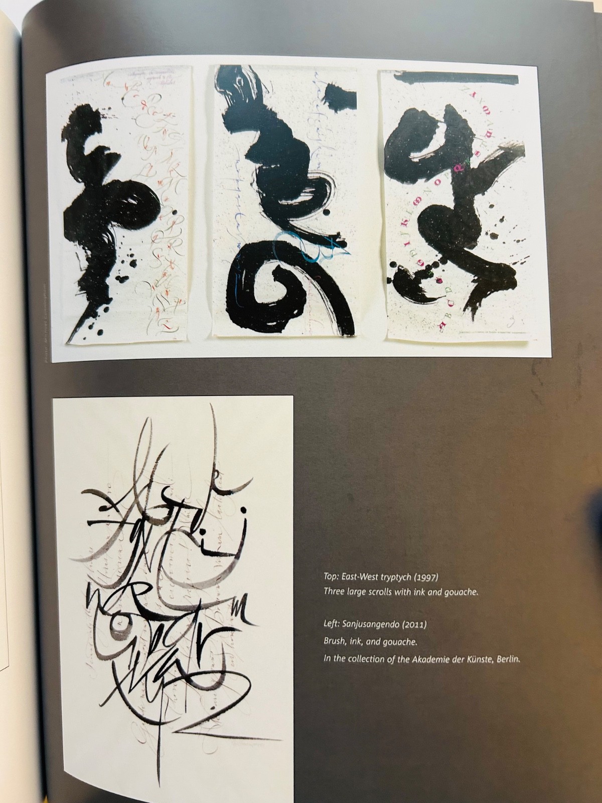 Scribe: Artist of the Written Word, John Stevens HCDJ RARE out of print
