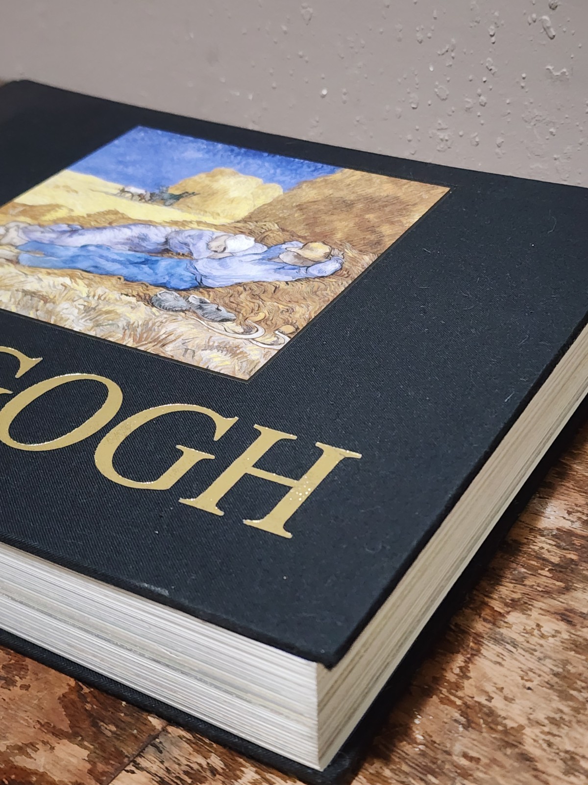Van Gogh DM FIELD (Hardcover)