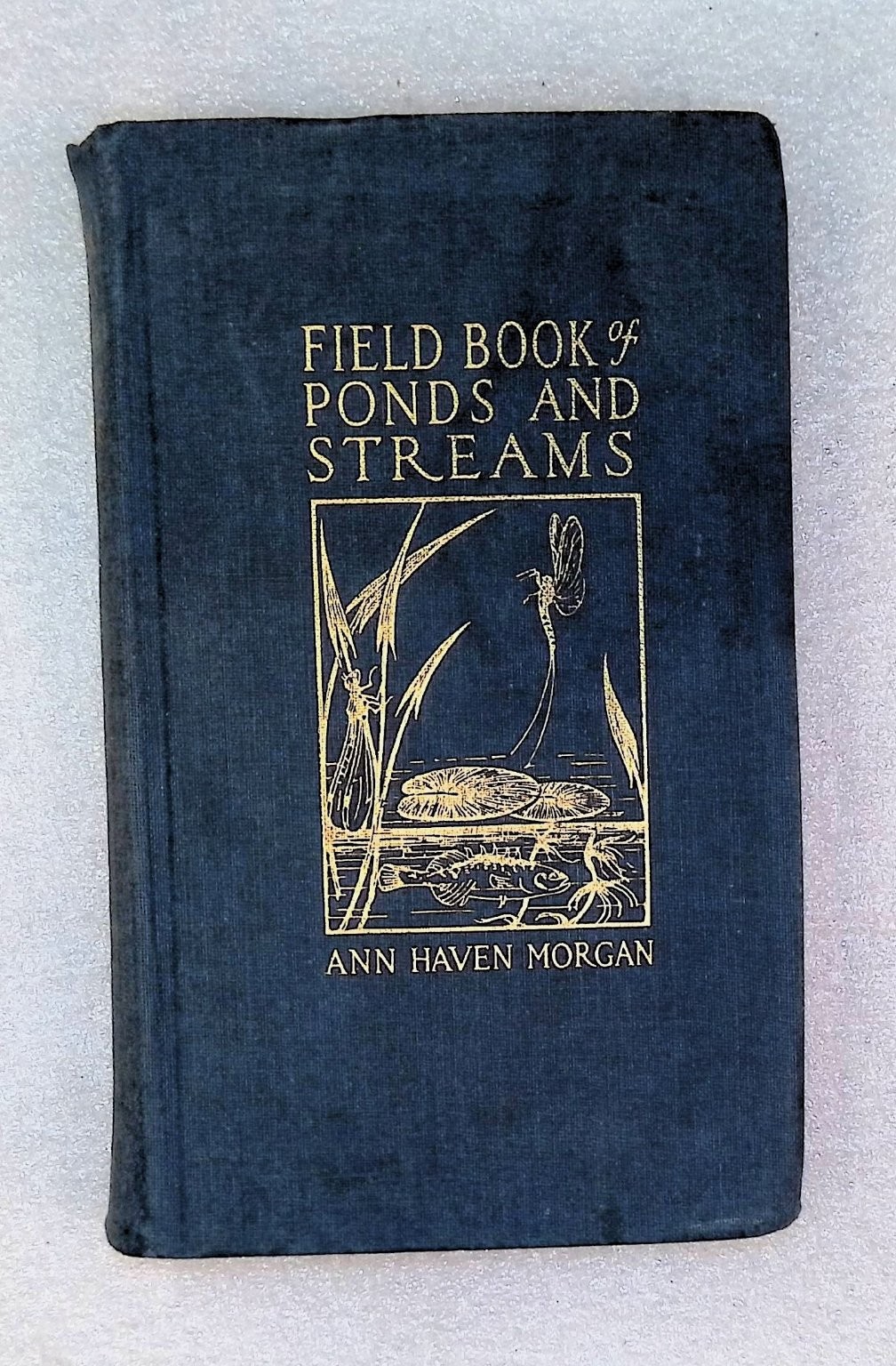 Field Book of Ponds and Streams Ann Haven Morgan 1930 First Ed Illustrated
