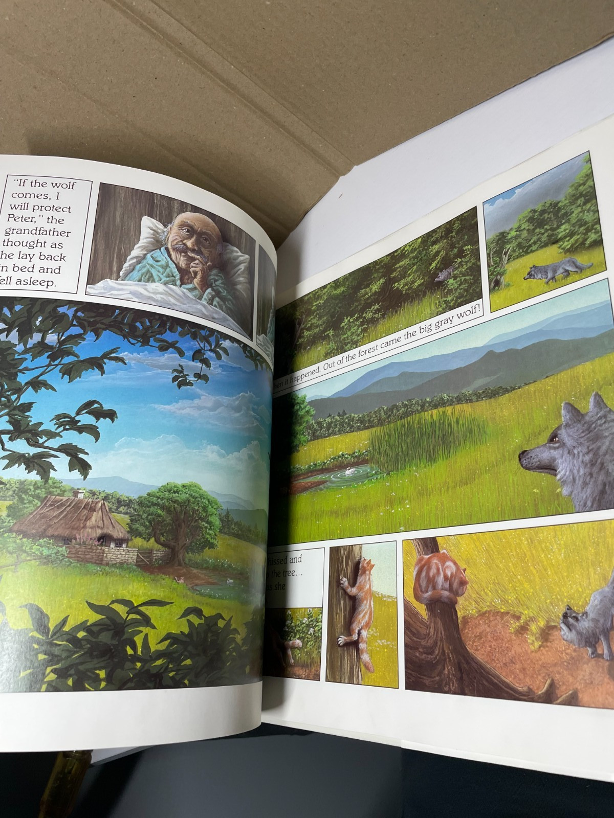 Peter and the Wolf Prokofiev Loriot Jorg Muller 1986 Knopf HC DJ West Germany