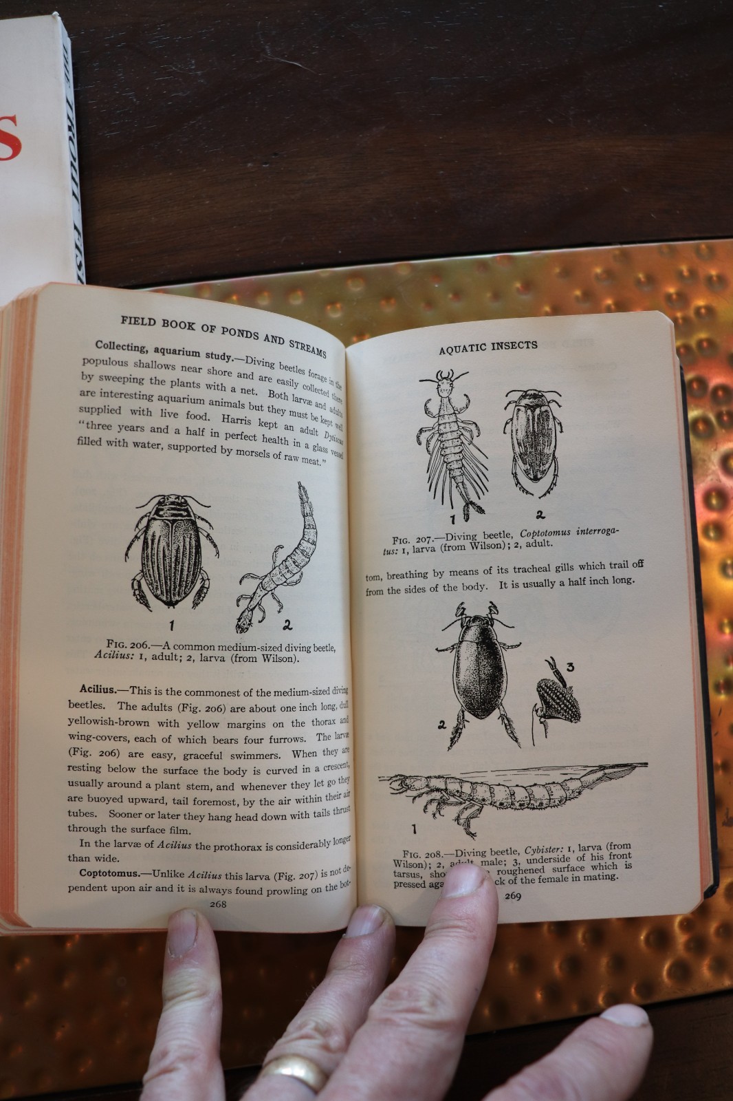 Field Book Of Ponds And Streams – 1930, Ann Haven Morgan, Illustrated, Putnam