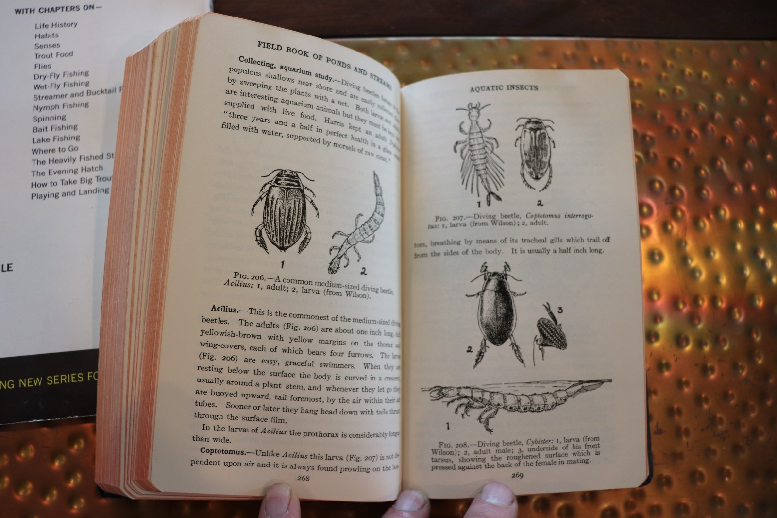 Field Book Of Ponds And Streams – 1930, Ann Haven Morgan, Illustrated, Putnam
