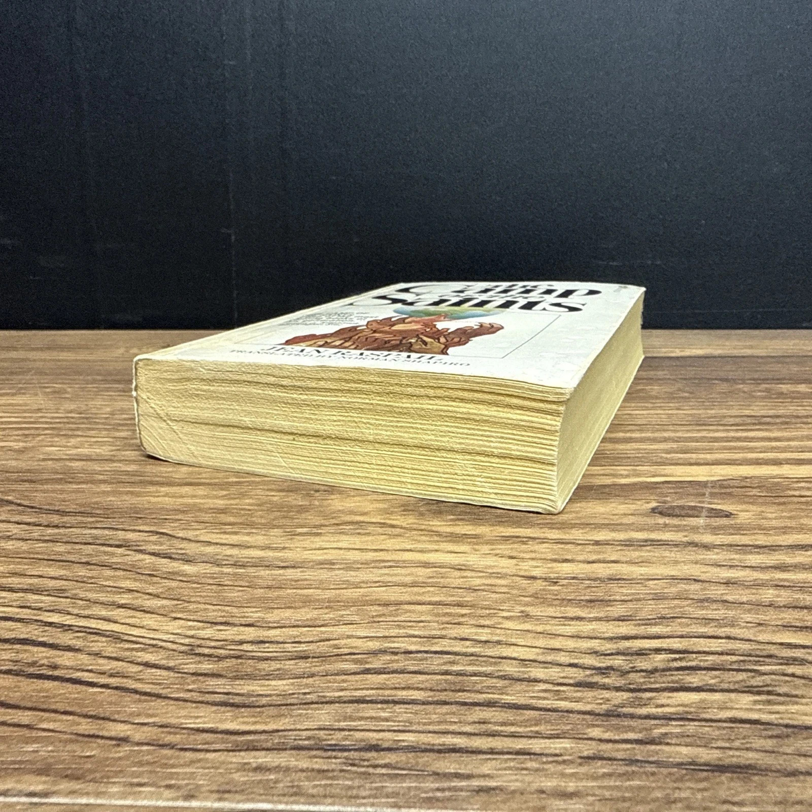 RARE Camp of the Saints by Jean Raspail Paperback 1977 – 1st First Ace Printing