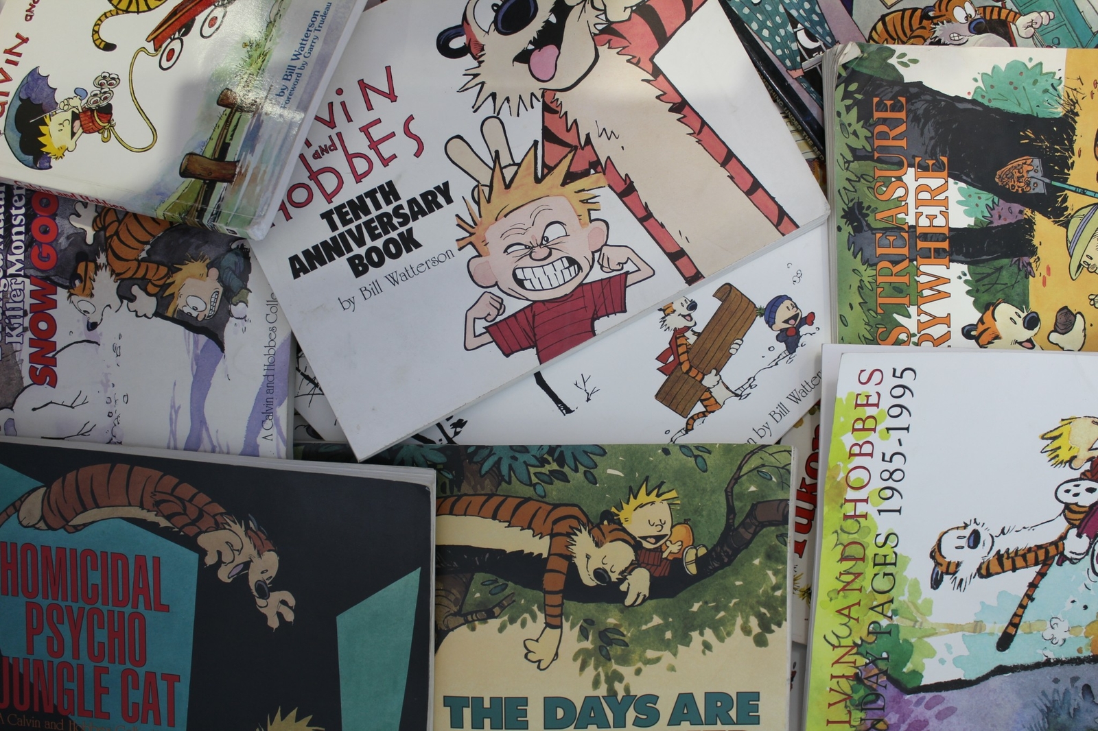 Lot of 5 Calvin & Hobbes by Bill Watterson Paperback Books MIX
