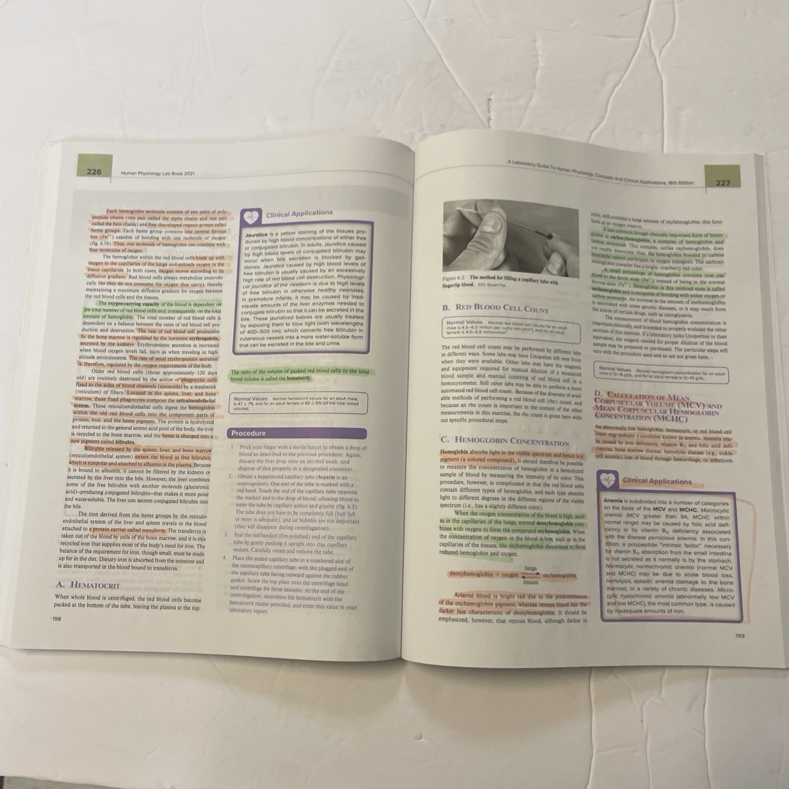 Loose Leaf for Human Physiology – Loose Leaf, by Fox Stuart Ira