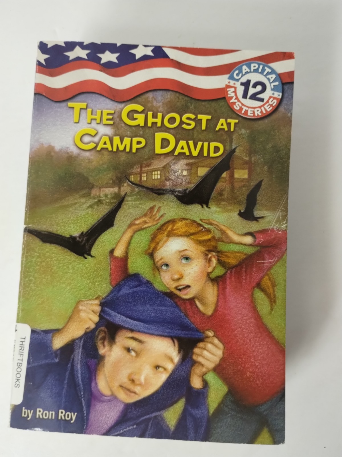 CAPITAL MYSTERIES by Ron Roy Chapter Books Series Lot 6-12 Bundle Kids Chapter