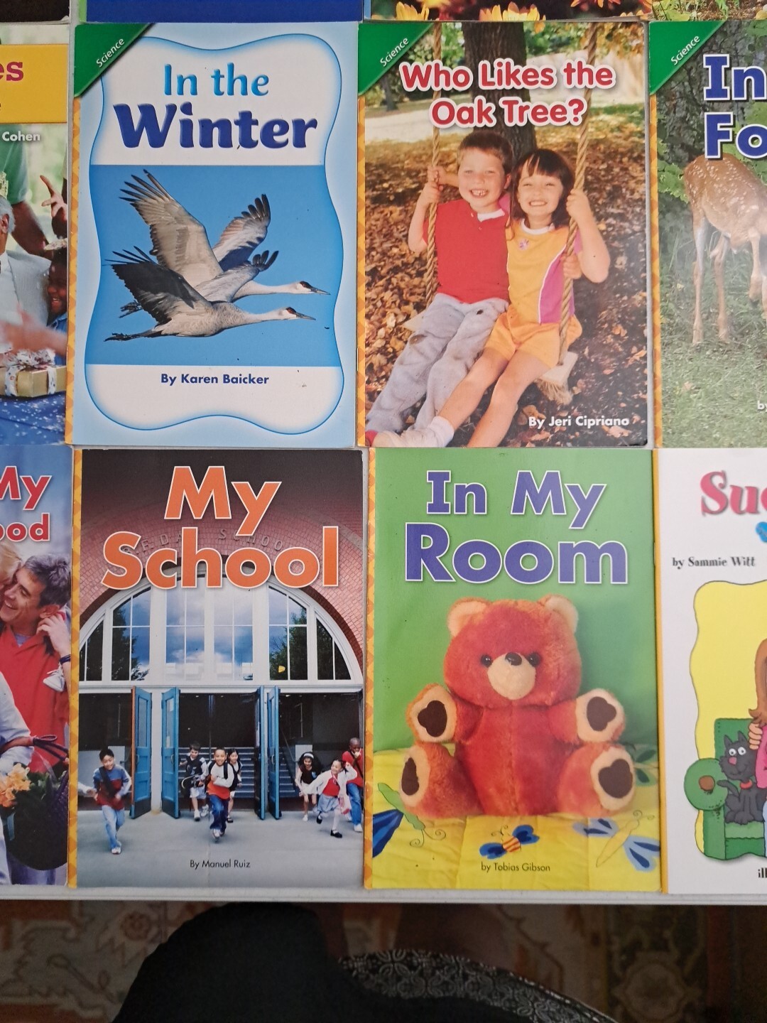 Lot Of 20 Level 1 Readers-Science, Social Studies, Etc-Grade 1